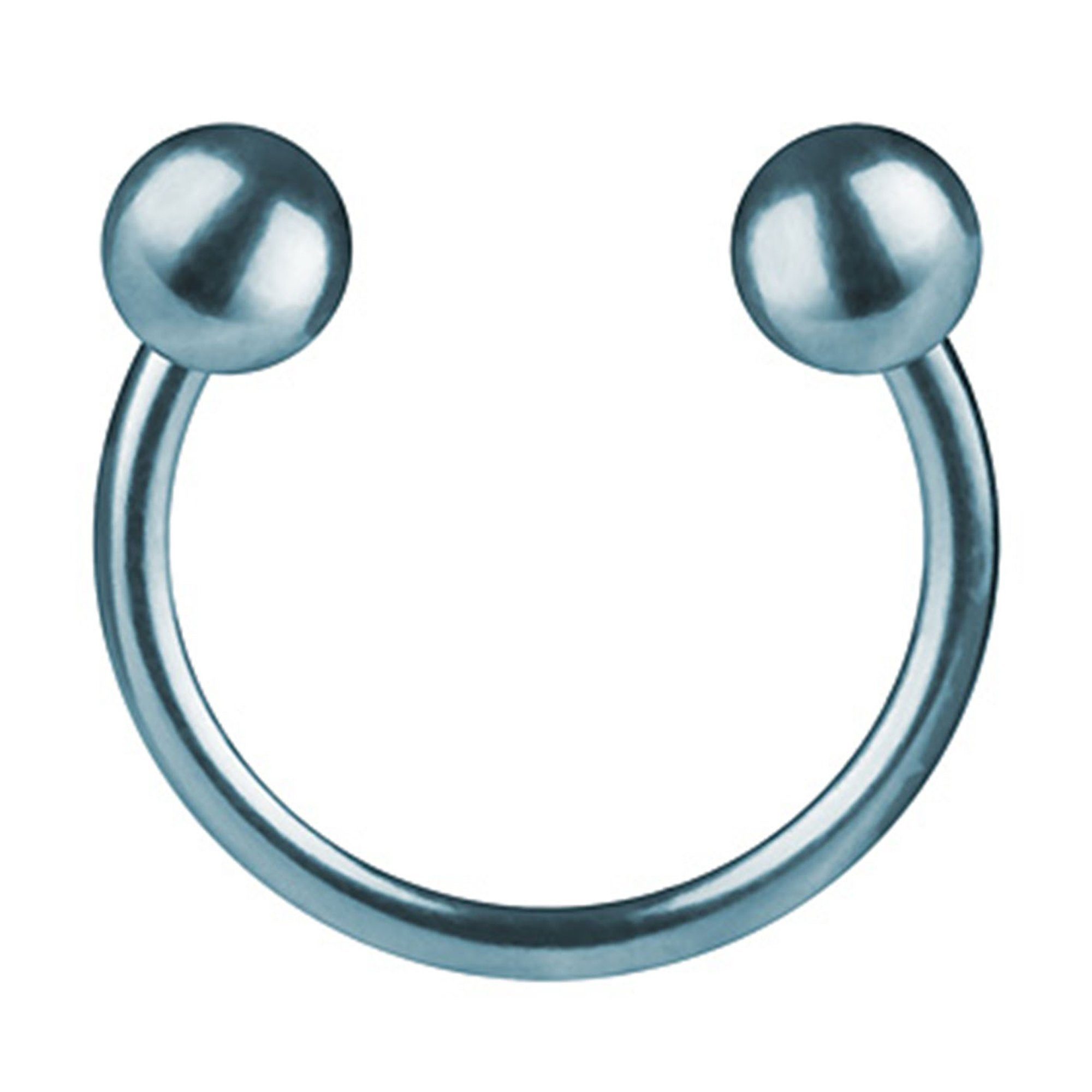 Taffstyle Nasenpiercing Piercing Edelstahl Brust Helix Intim mit Kugeln, Hufeisen Ring Horseshoe