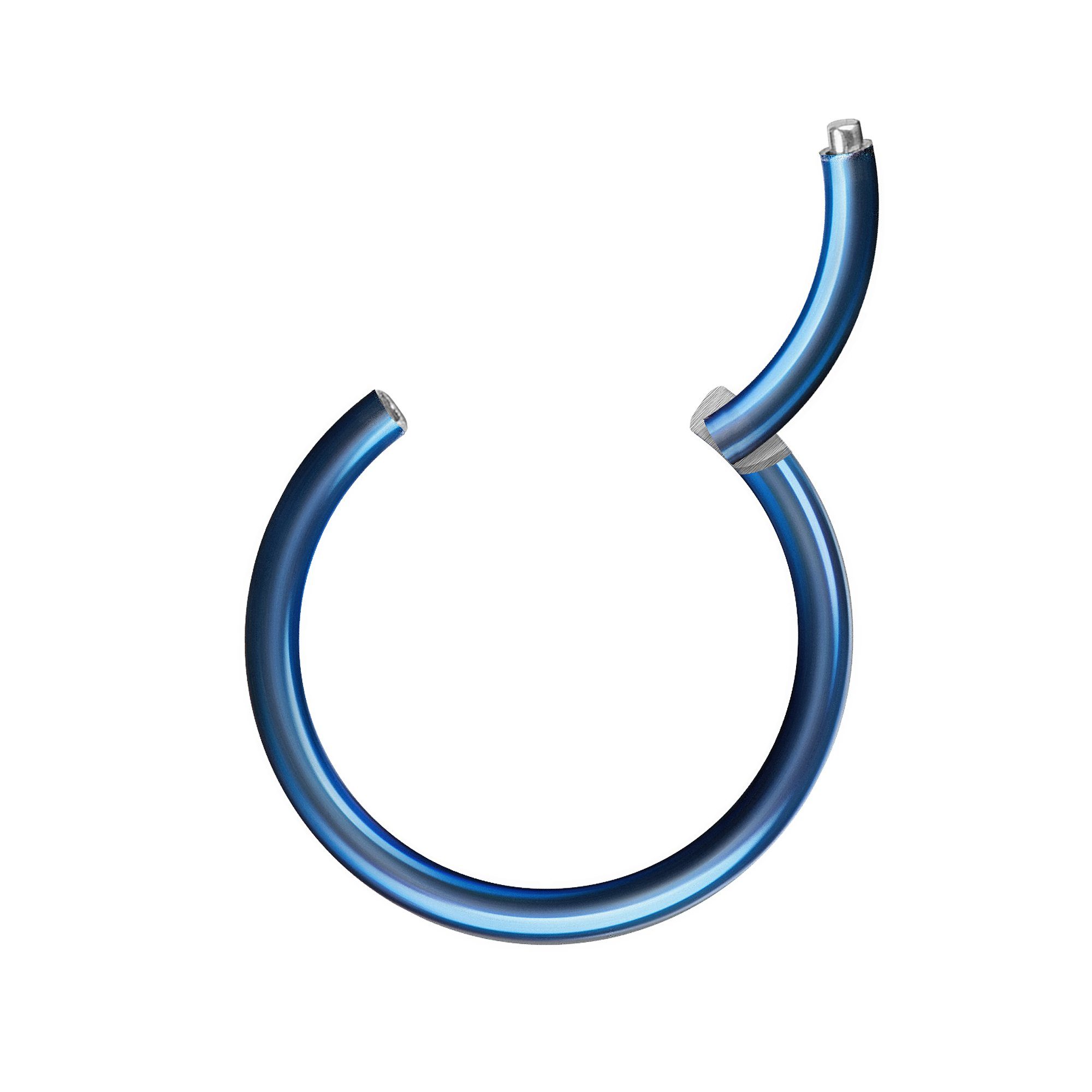 Taffstyle Nasenpiercing Segmentring Piercing Titan G23 günstig online kaufen