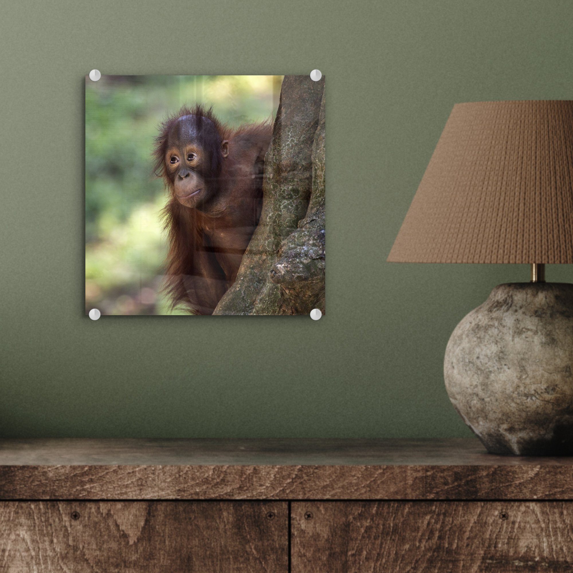 Wandbild - - - Foto - Wanddekoration Acrylglasbild Orang-Utan auf Baum, - Glas Baby (1 auf Glasbilder Glas MuchoWow St), Bilder