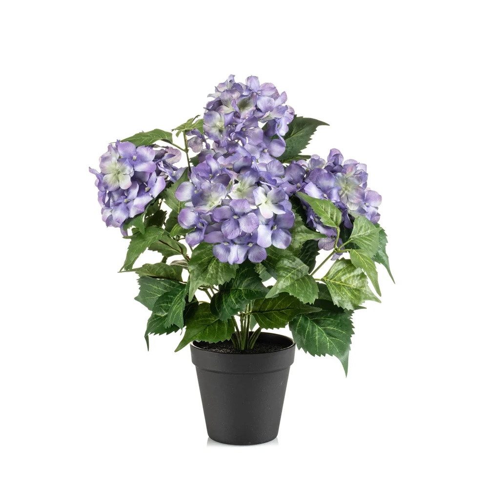 Künstliche Zimmerpflanze, Emerald, Höhe 38 cm, günstig online kaufen