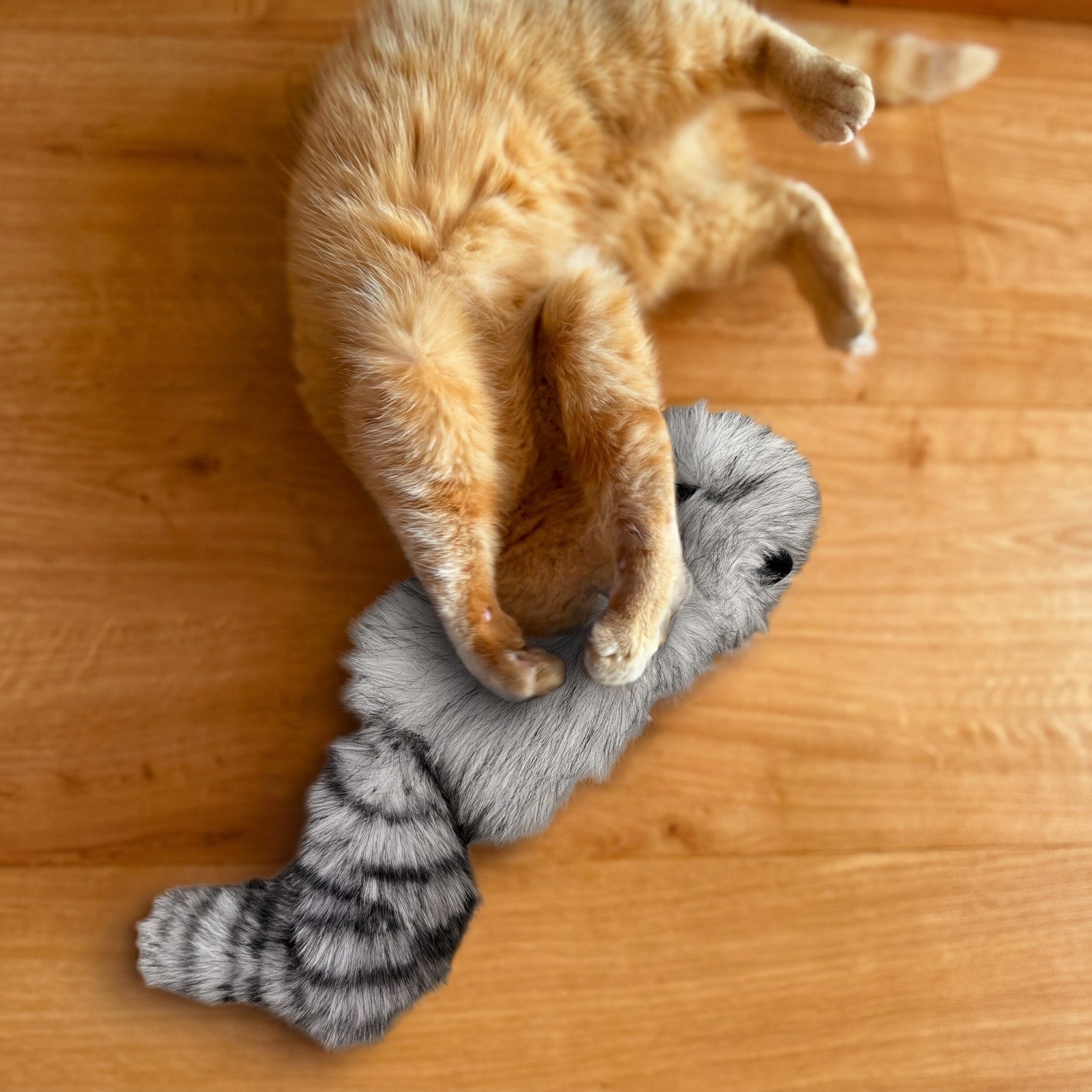 Aumüller Tierkuscheltier Katzenspielkissen Waschbär Wolle, mit Baldrian, Katzenminze und Sil...