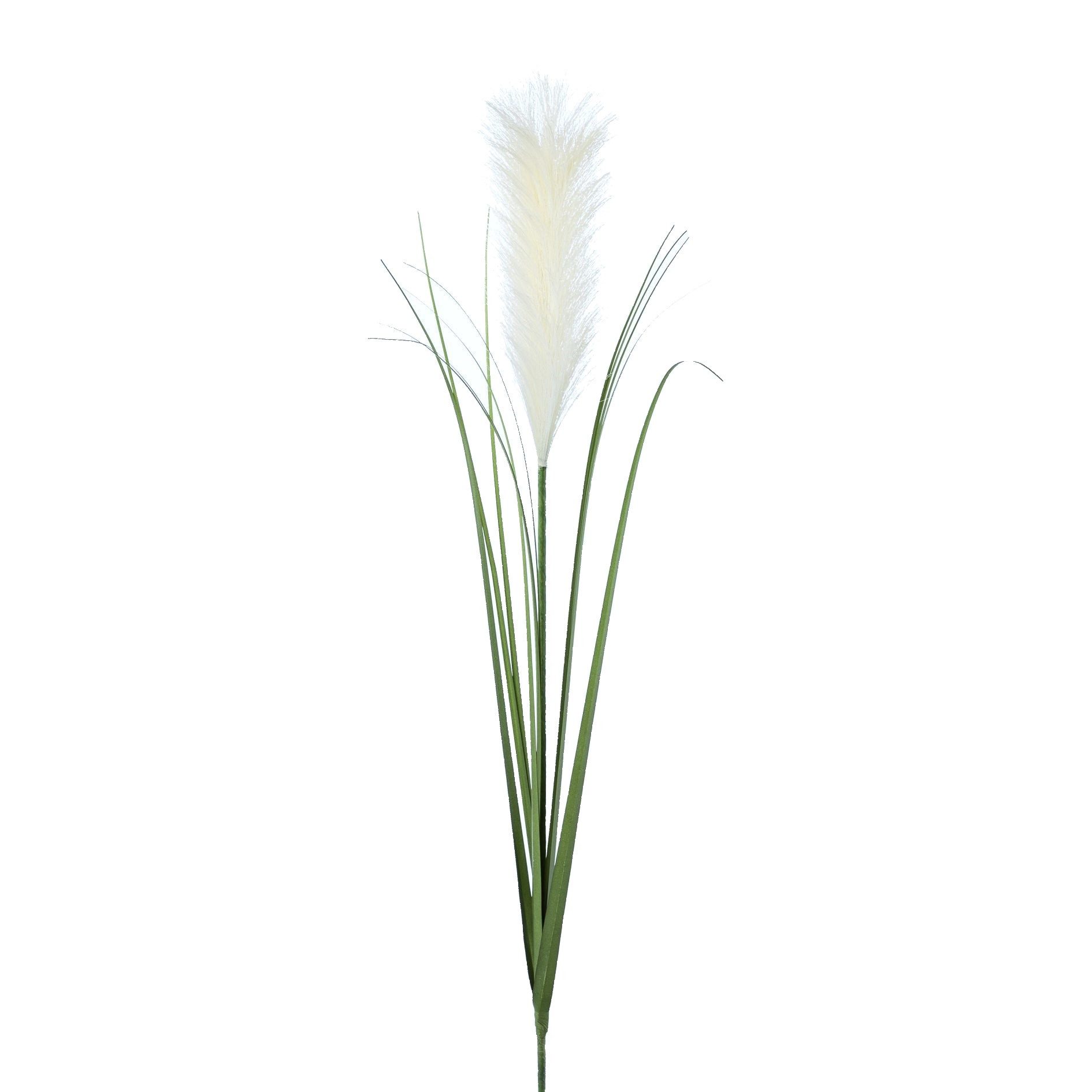 Kunstzweig Künstliches Pampasgras ca. 78 cm, Süßgras, CREME, Gasper, Höhe 78.00 cm