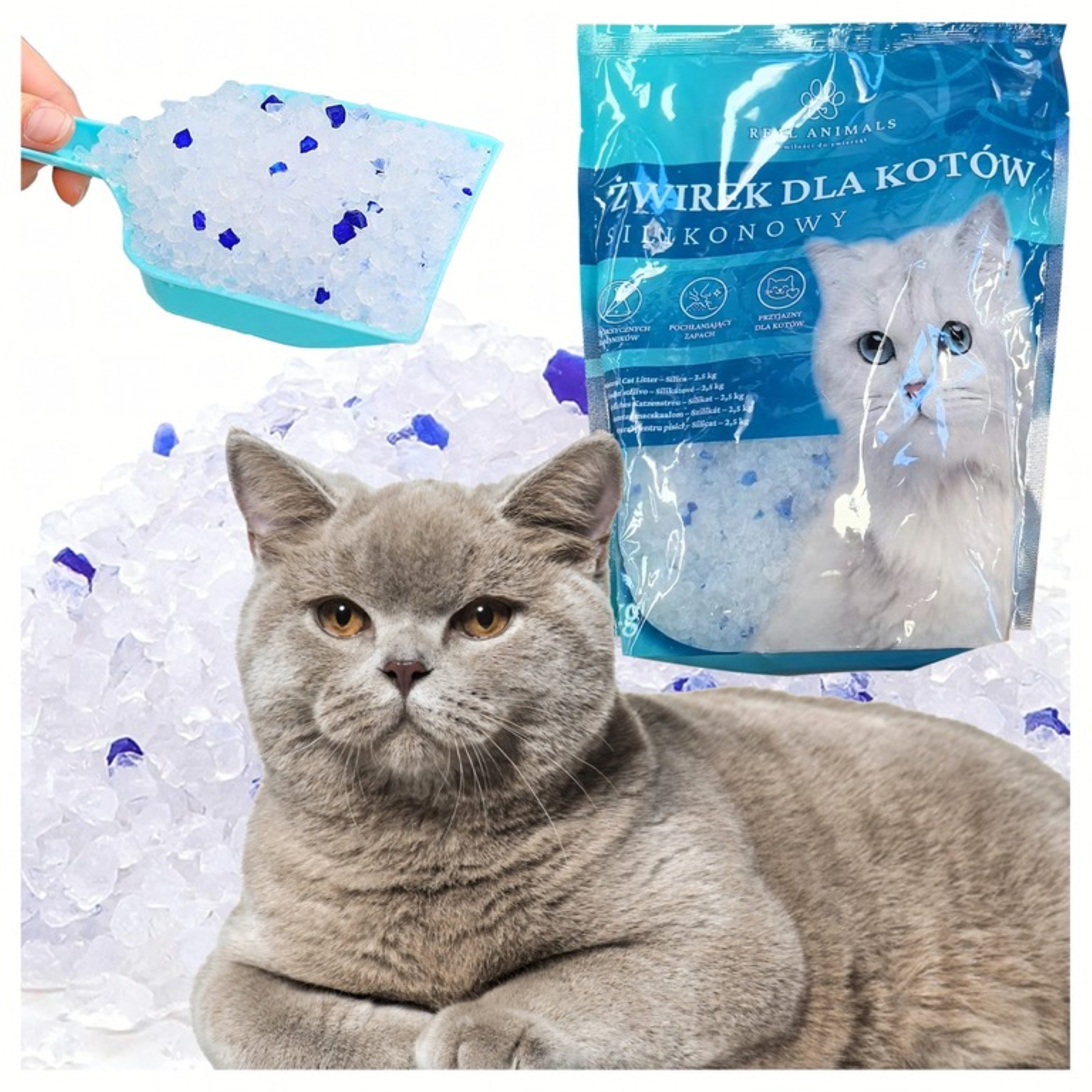 Realb2b Katzenstreu Katzenstreu Silikon 1,5kg 3,8L staubarm geruchsbindend Katze (Silikon Katzenstreu 3,8L staubarm geruchsbindend 1,5kg Inhalt Stoff, Silikon Katzenstreu nicht klumpend geruchsbindend 3,8L 1,5kg Beutel), Staubarm geruchsbindend saugstark