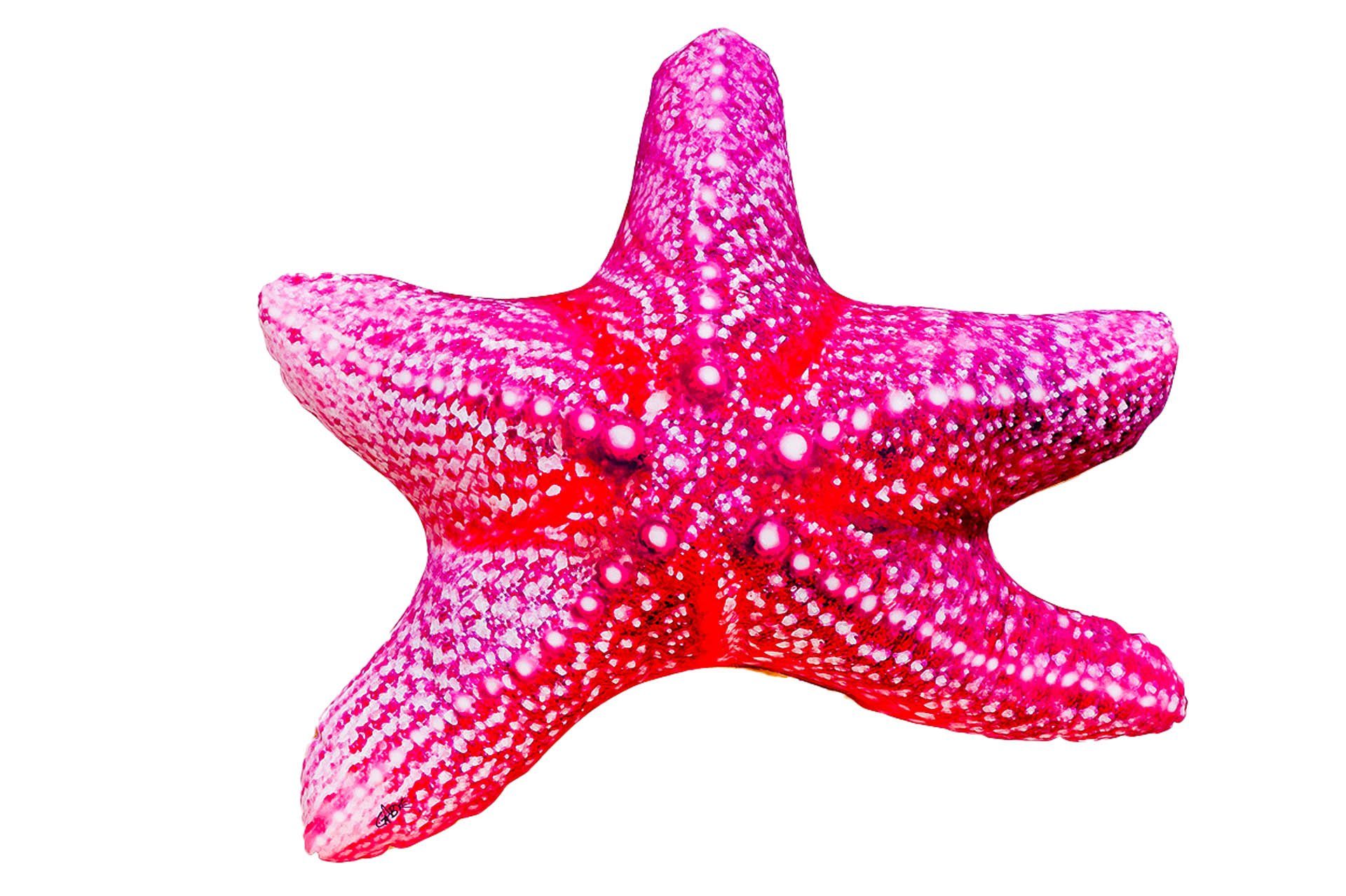 GABY Dekokissen GABY fish pillows - Kissen - Seestern - 50 cm