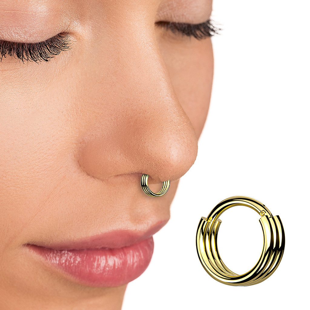 Taffstyle Nasenpiercing Septum Piercing Segment Ring günstig online kaufen