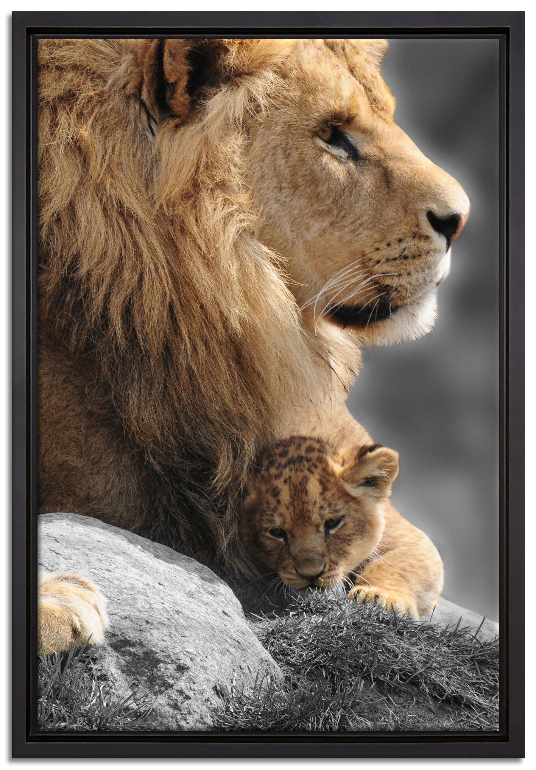 Pixxprint Leinwandbild Löwe mit Löwenbaby, Wanddekoration (1 St), Leinwandbild fertig bespannt, in einem Schattenfugen-Bilderrahmen gefasst, inkl. Zackenaufhänger | Leinwandbilder