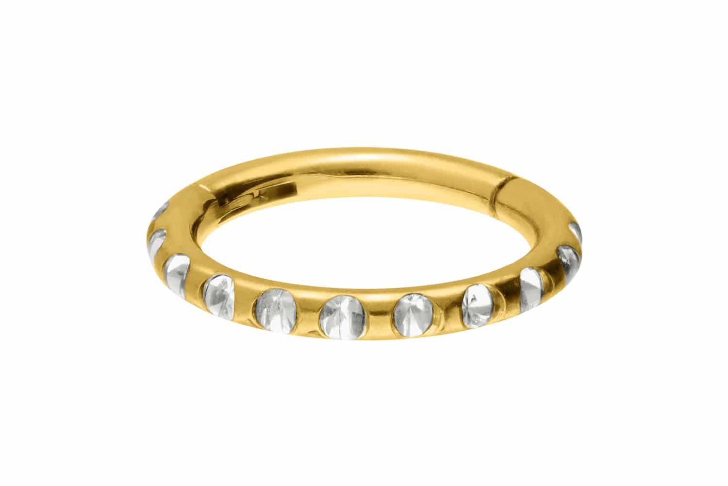 Nasenpiercing Titan Segmentring Clicker KRISTALLE + EPOXY Ohrpiercing Septum Nase