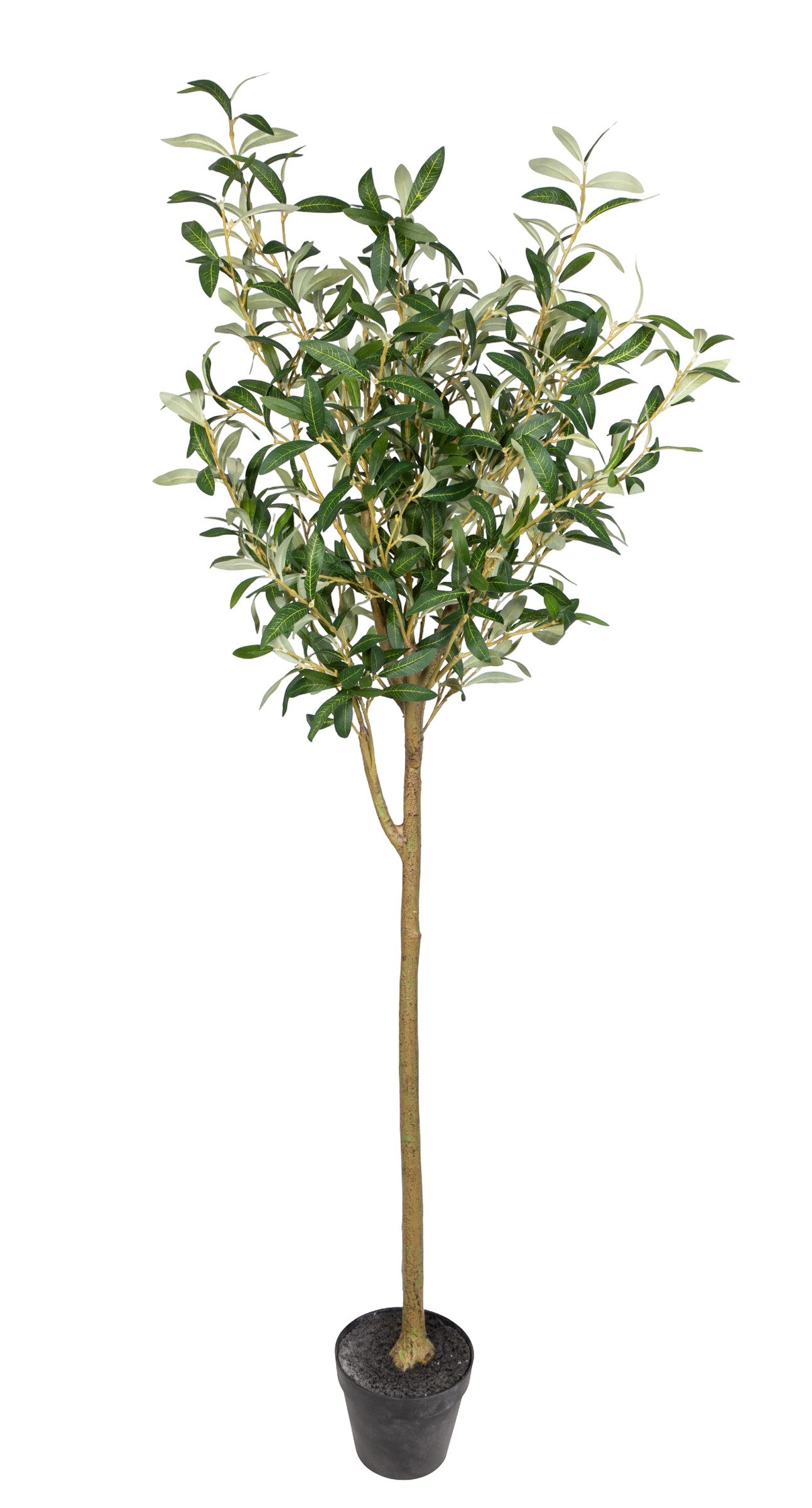Kunstbaum 2 Stück Olivenbaum im Topf ZF Kunstbaum künstlicher Baum Dekobaum Olive, Seidenblumen Roß, Höhe 150 cm