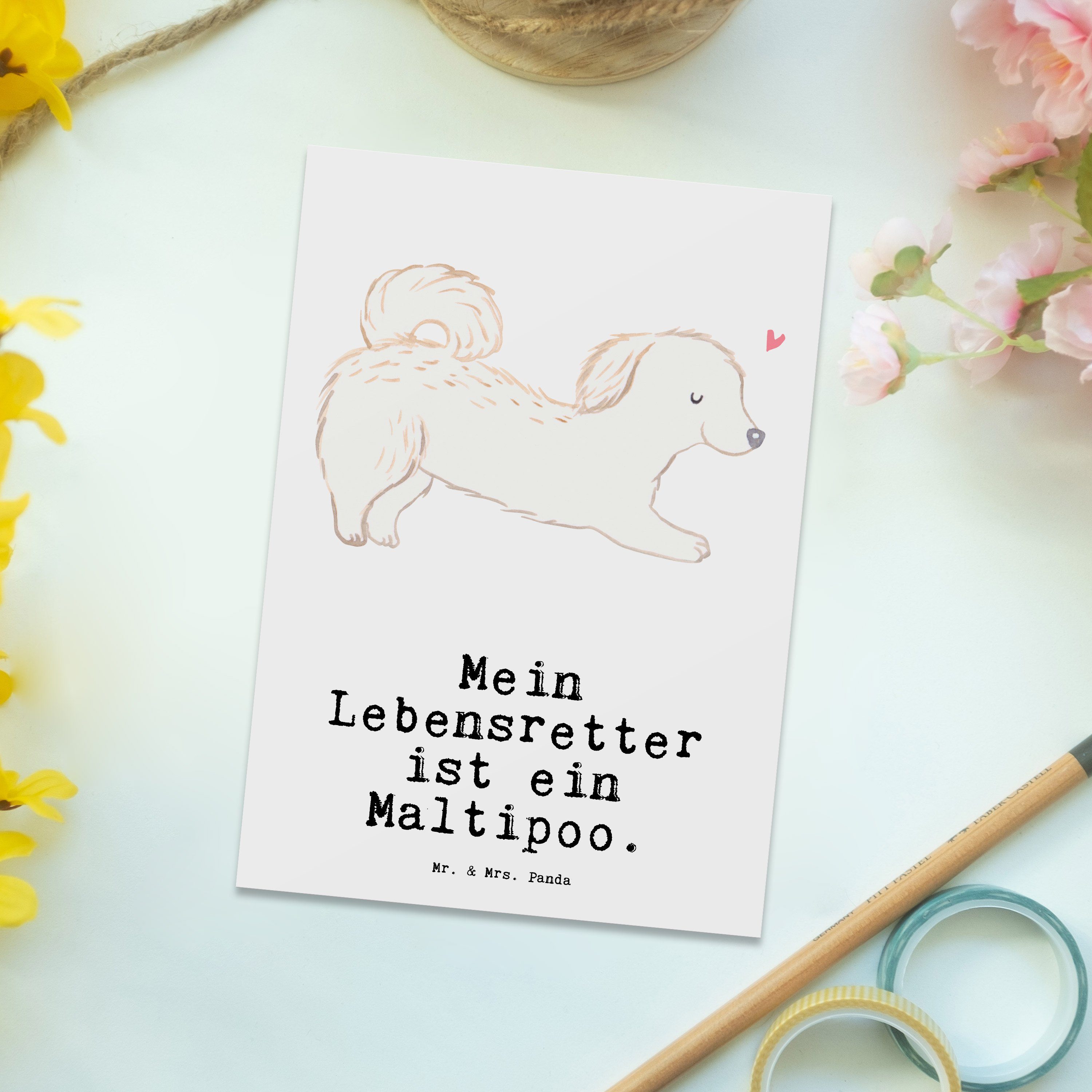 Mr. & Mrs. Einladungskar Geschenk, Maltipoo Lebensretter - Postkarte Hundebesitzer, Panda - Weiß