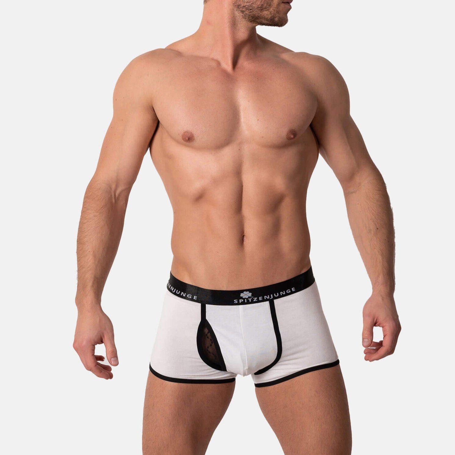 SPITZENJUNGE Boxer Treviso
