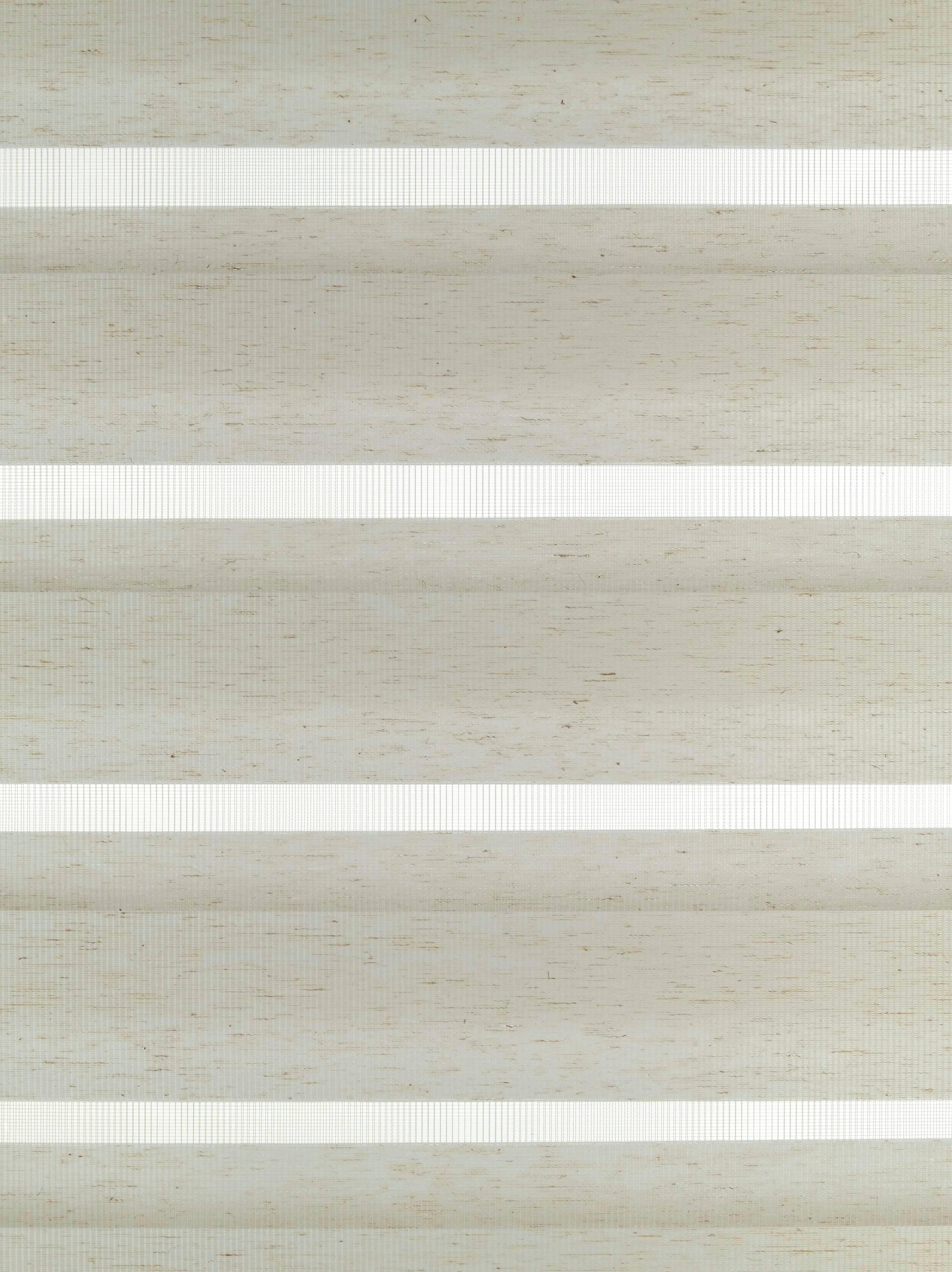 GARDINIA Schiebegardine Flächenvorhang Day+Night (1 St), Paneelwagen, blick günstig online kaufen