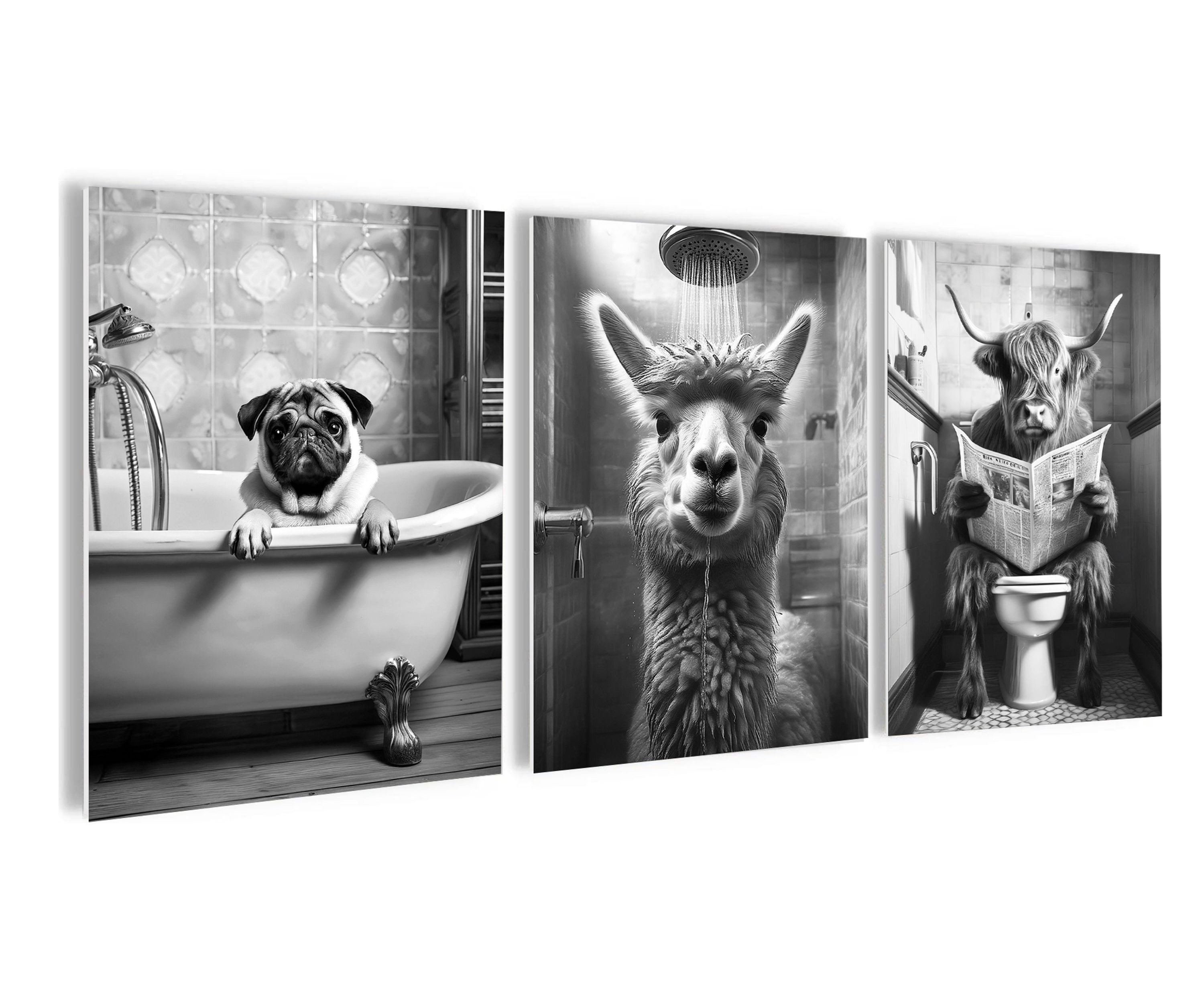 artissimo Mehrteilige Bilder Bilderset 3er-Set, Deko Bad / Badezimmer, schwarz-weiß, lustige Bilder, Badezimmerbild: Hochland Kuh / Alpaka / Mops