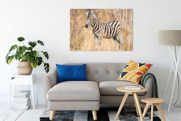 Pixxprint Leinwandbild Anmutiges Zebra in Savanne, Anmutiges Zebra in Savanne (1 St), Leinwandbild fertig bespannt, inkl. Zackenaufhänger