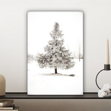 OneMillionCanvasses® Leinwandbild Winter - Baum - Schnee - Natur - Jahreszeiten, (1 St), Leinwandbild fertig bespannt inkl. Zackenaufhänger, Gemälde, 20x30 cm