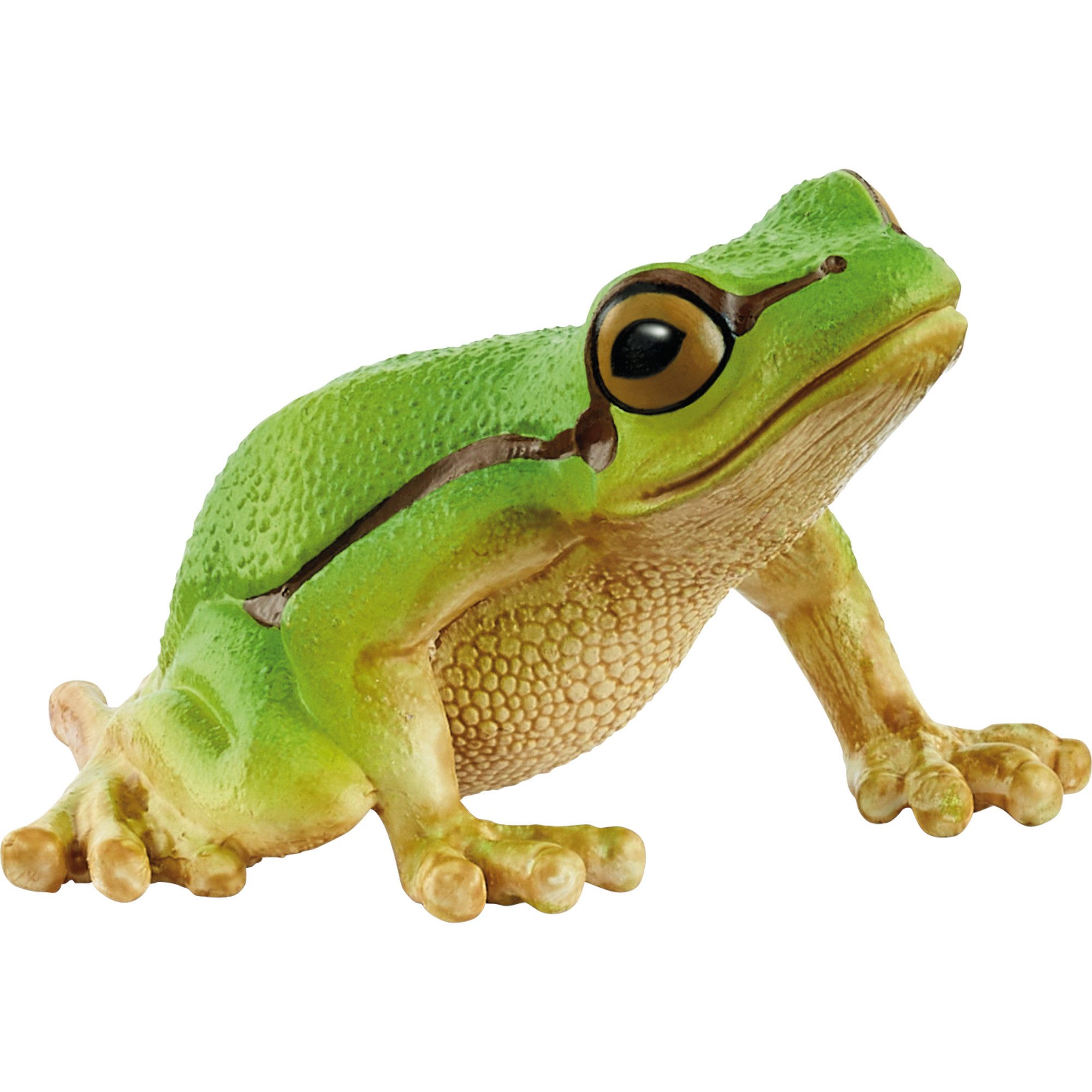 Spielfigur Schleich Wild Life Europäischer Laubfrosch