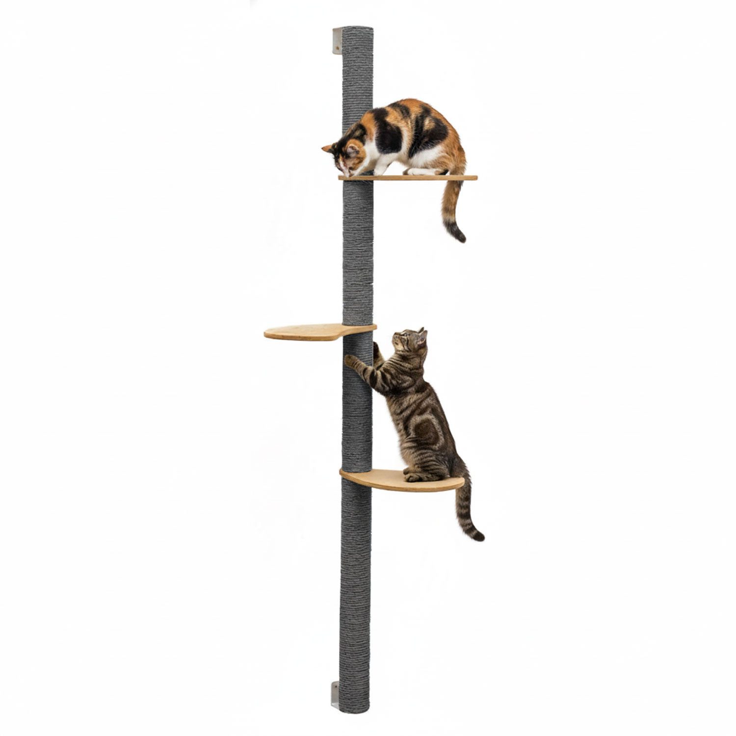 eyepower Kratzbaum zur Wandmontage - 170cm Wandkratzbaum für Katzen mit 3 Bambus Plateaus, Sisalstamm Wand - Katzenkratzbaum platzsparend - Kletterwand Katze