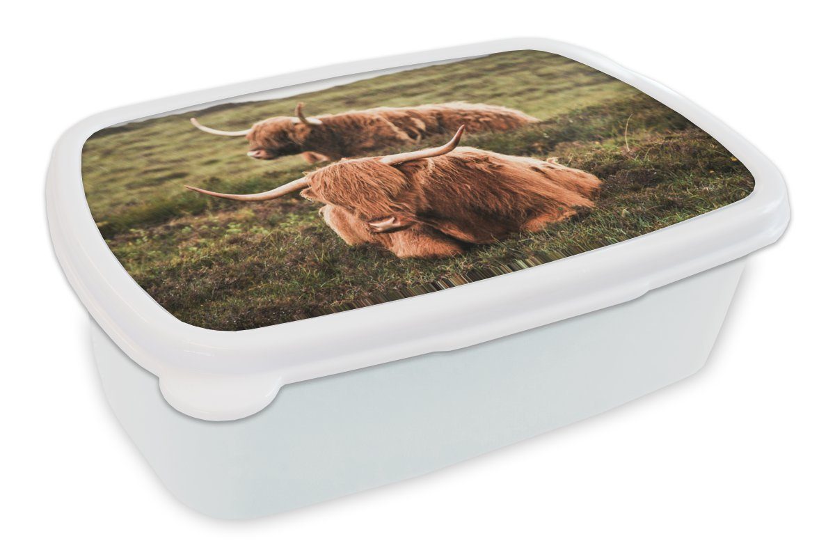 MuchoWow Brotdose, Sonne, Kunststoff, und - (2-tlg), Erwachsene, Lunchbox für Mädchen für weiß Brotbox Kinder - und Gras Kühe Jungs