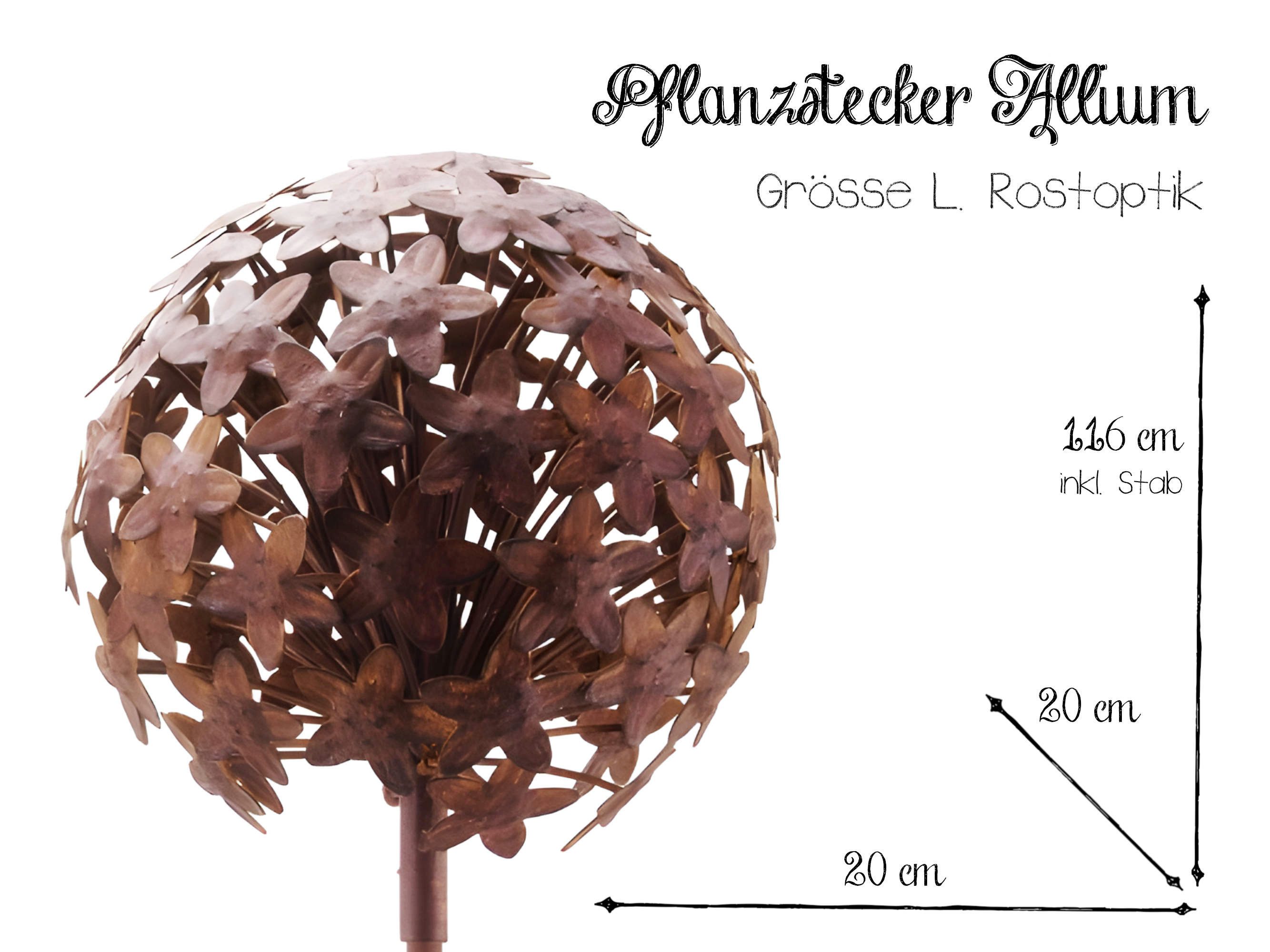 Paulslandhaus Gartenstecker Pflanzstecker Allium 3 Größen Rost Beetstecker günstig online kaufen