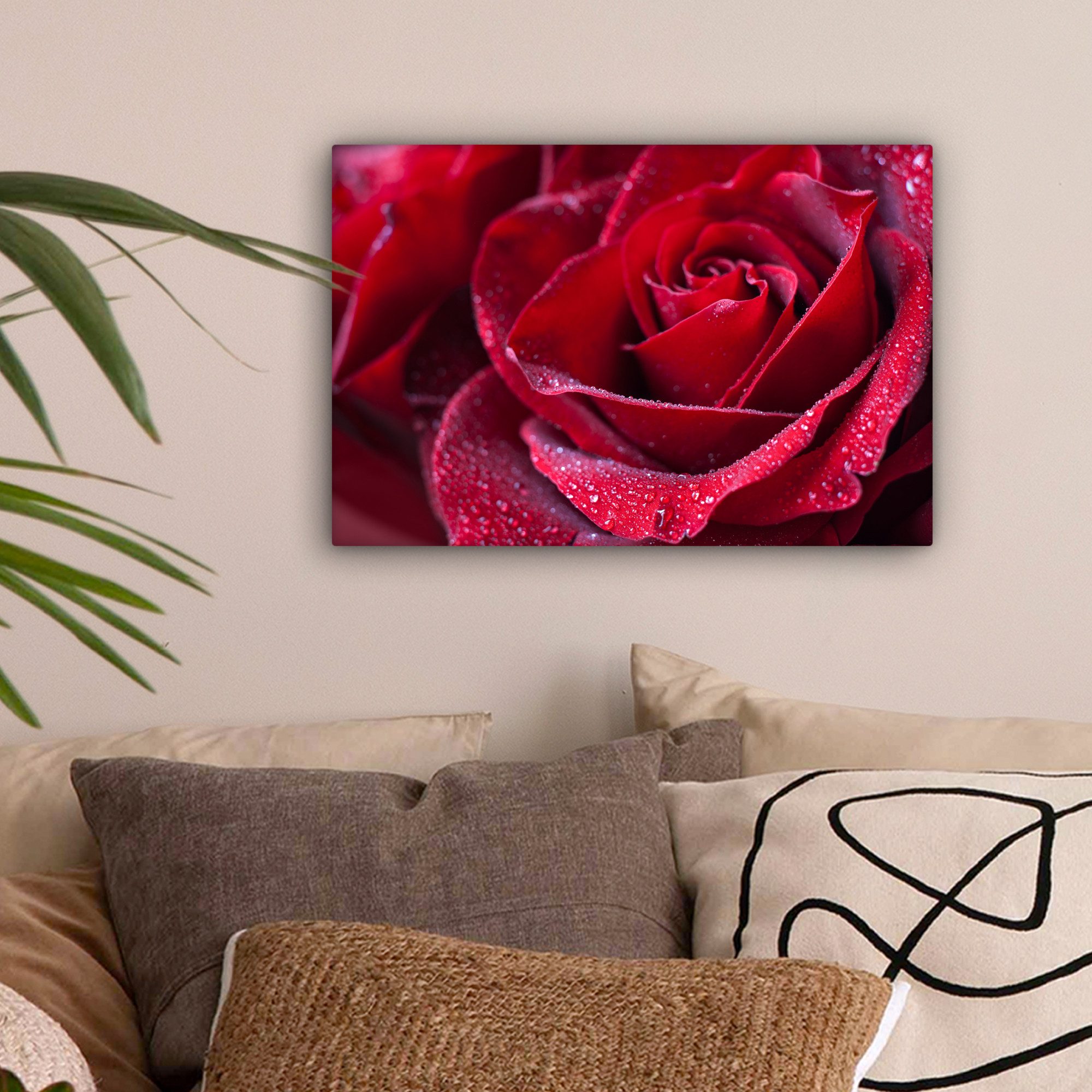 OneMillionCanvasses® Leinwandbild Rose - Rot - günstig online kaufen