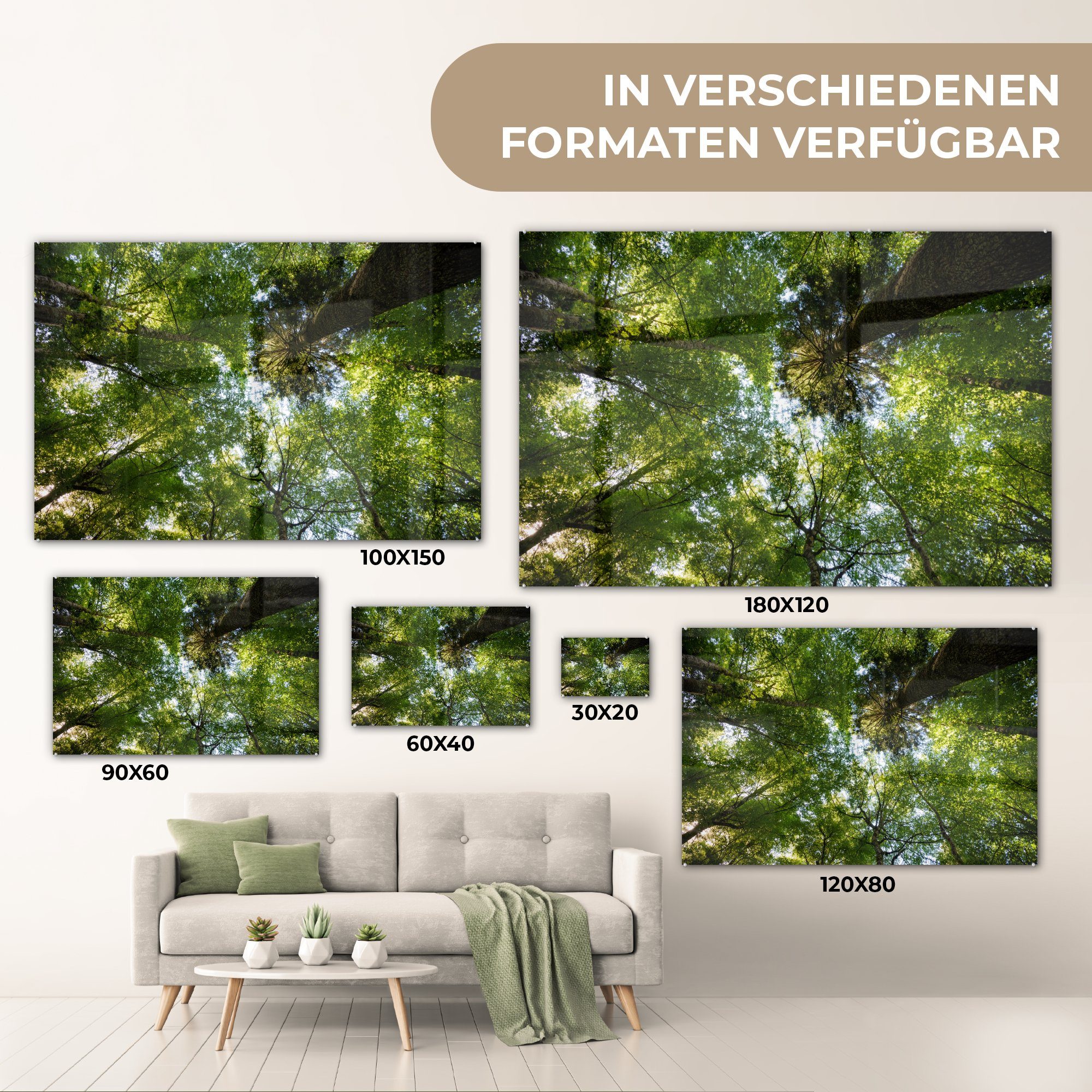 MuchoWow in, Bäume in Grüne Sutjeska-Nationalparks Acrylglasbilder St), Acrylglasbild (1 der & Natur Wohnzimmer Schlafzimmer des