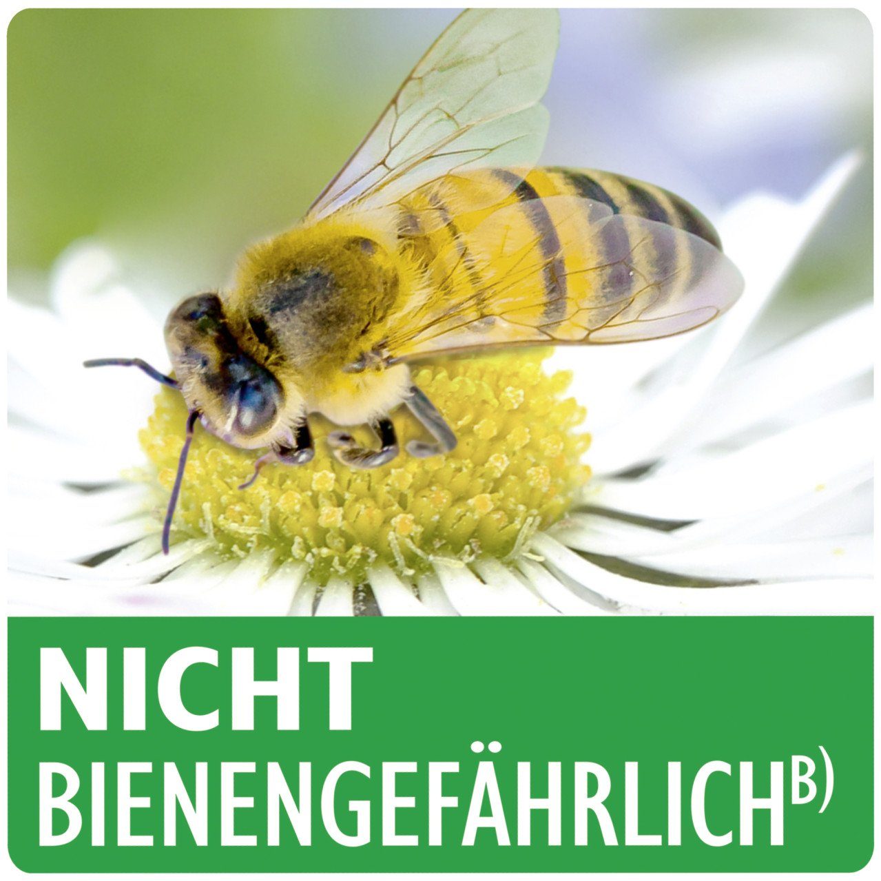 Fliegengitter-Gewebe Neudorff Rosen-Schädlingsfrei AF ml Spruzit 500