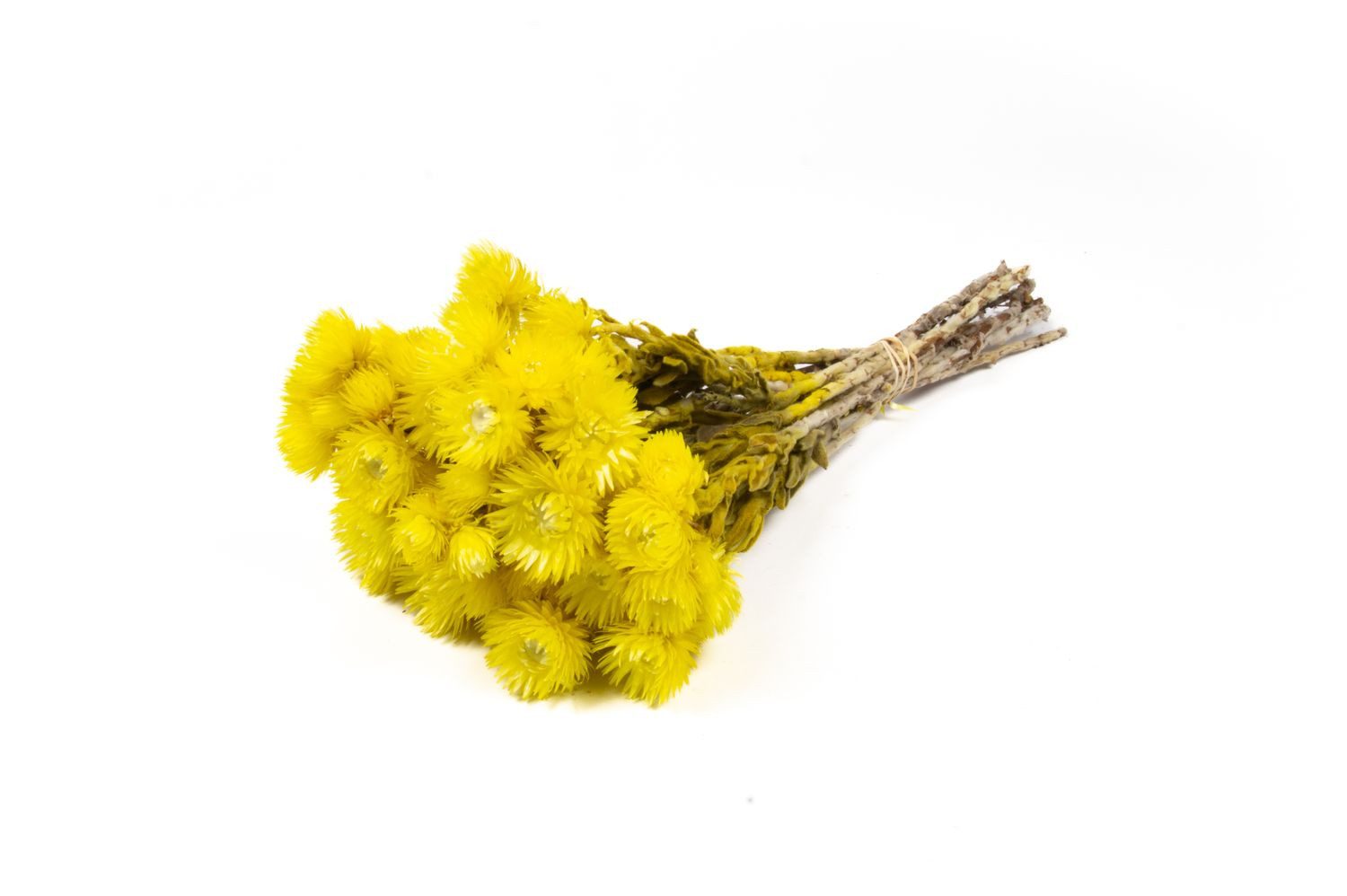 Trockenblume Sonnenblumen Trockenstrauß Bibiana, gelb, 35-45cm, Ø15cm, INNA-Glas, Höhe 45.0 cm