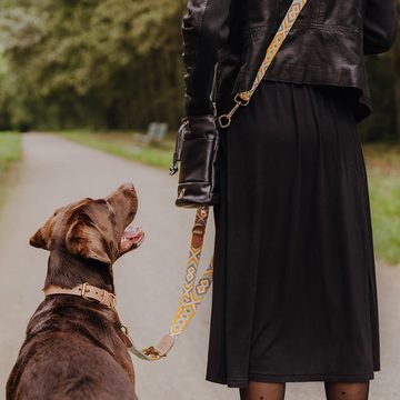 Hey Lana Hunde-Halsband Premium Hundehalsband - Très Chic - mint/orange