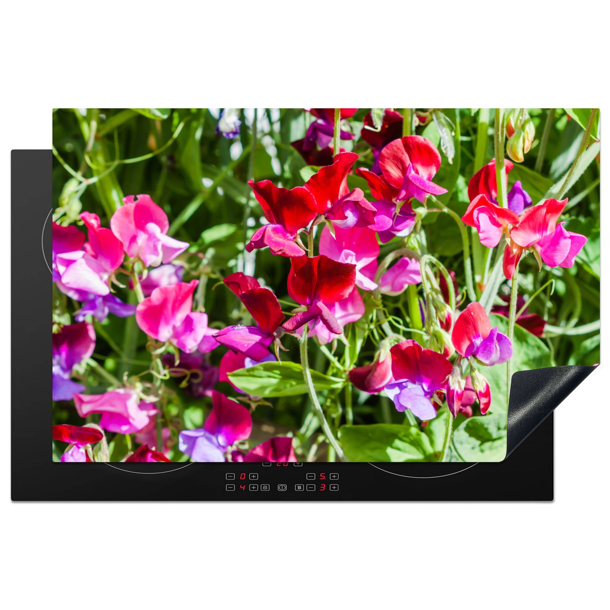 MuchoWow Herdblende-/Abdeckplatte Lathyrus-Blüten im Garten, Vinyl, (1 tlg), 81x52 cm, Induktionskochfeld Schutz für die küche, Ceranfeldabdeckung