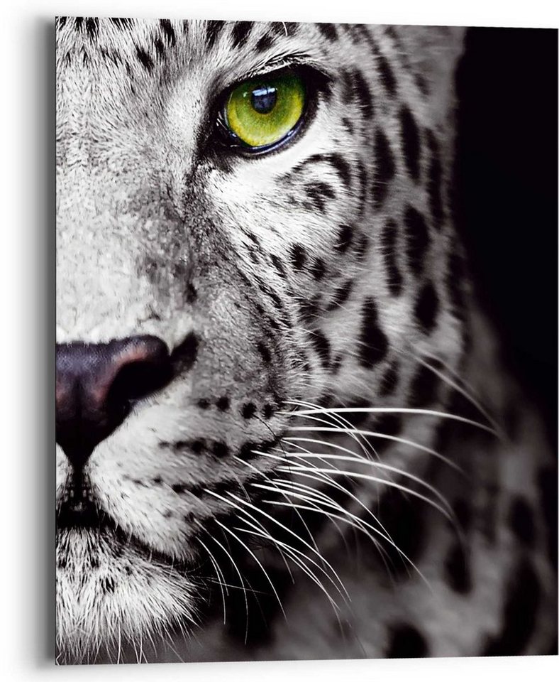 Tiere Leopard, - Wandbild St) Reinders! Auge Panthers (1 Kräftig Raubetier Wandbild -