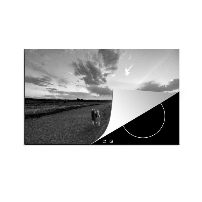 MuchoWow Herdblende-/Abdeckplatte Pomsky unter der aufgehenden Sonne - schwarz und weiß Vinyl (1 tlg) Ceranfeldabdeckung für die küche Induktionsmatte