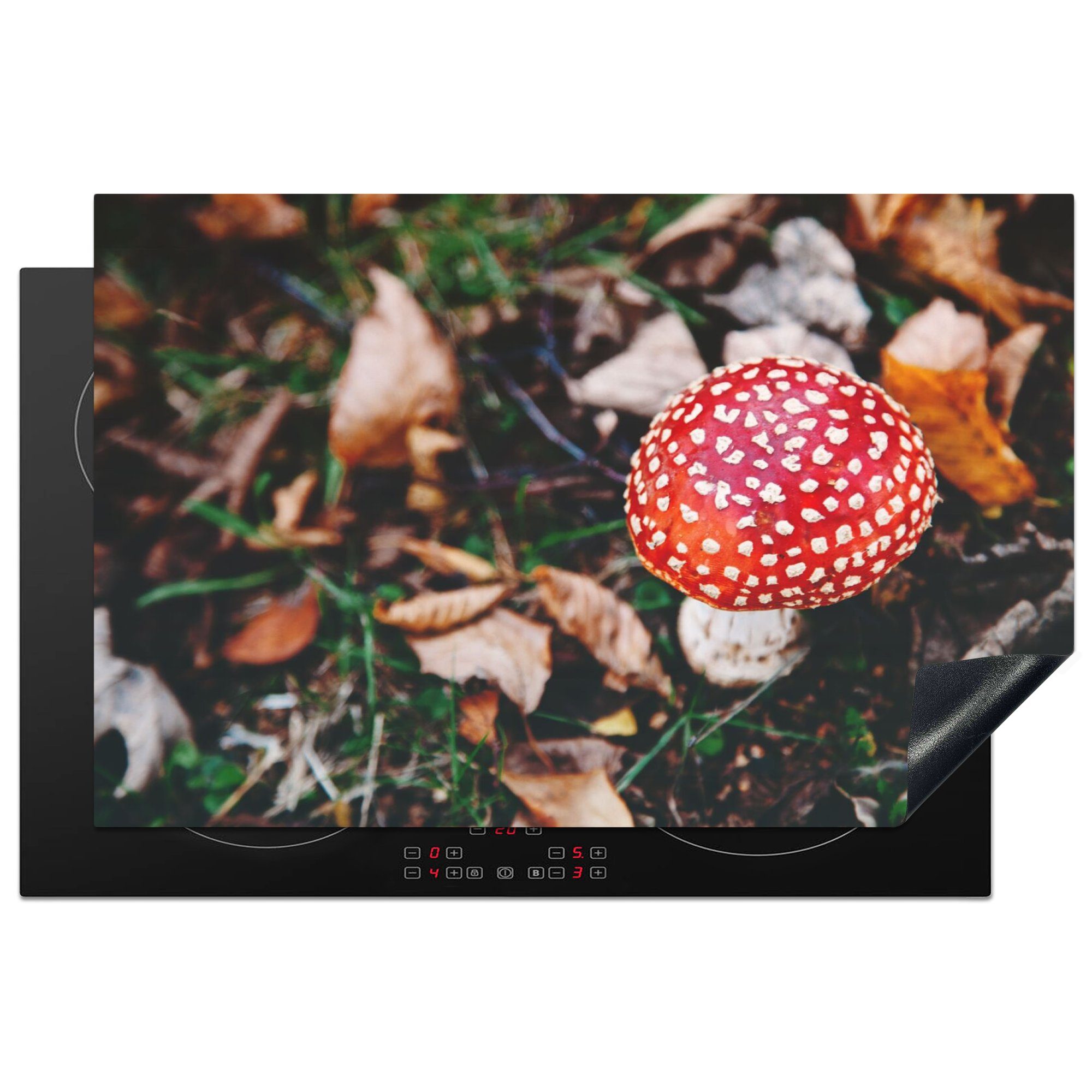 - (1 Herbst MuchoWow Schutz Blätter cm, Ceranfeldabdeckung die Natur, für Pilz küche, Herdblende-/Abdeckplatte - 80x52 - Vinyl, Induktionskochfeld tlg),