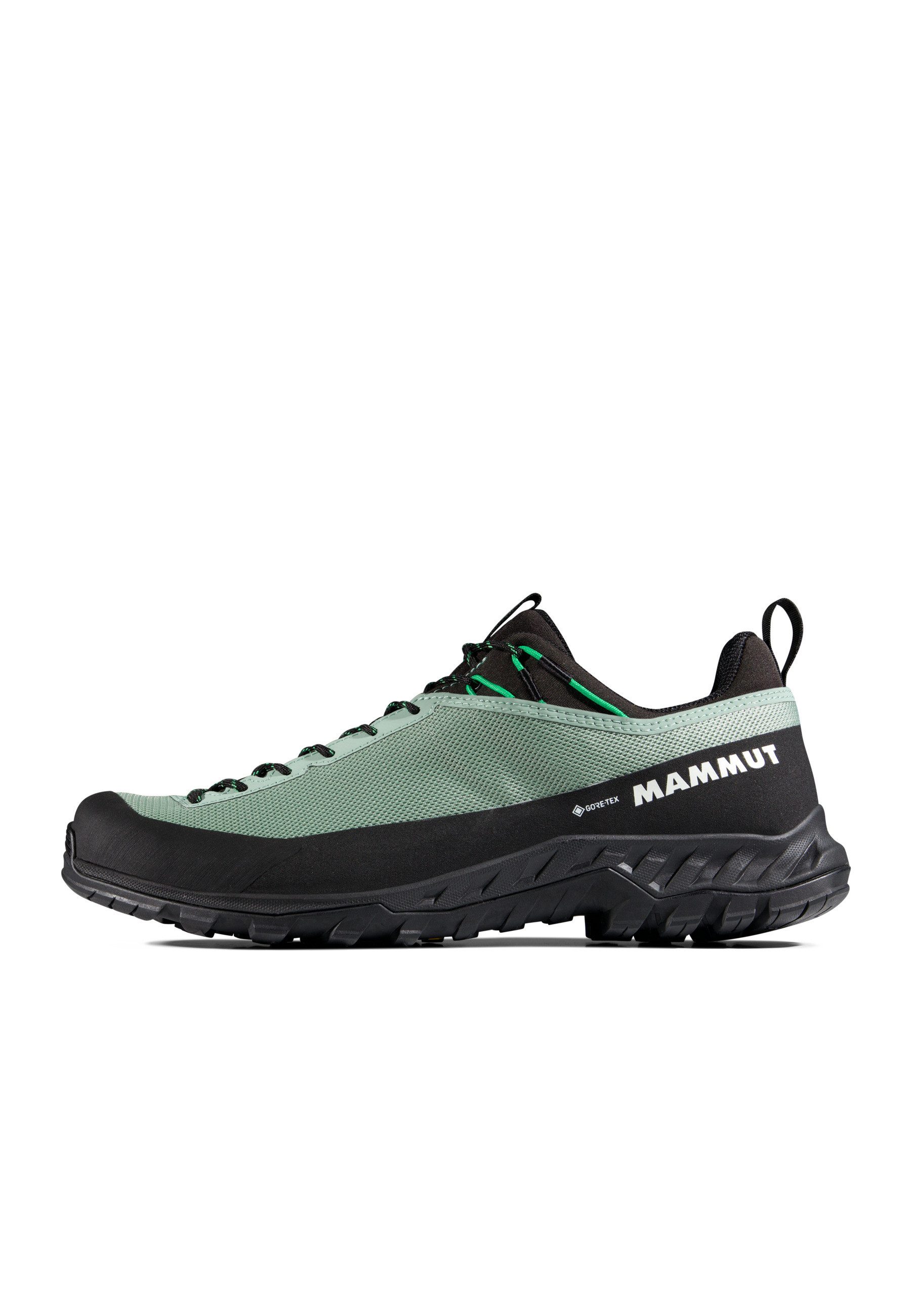 Mammut Alnasca IV Low GTX Men Trekkingschuh