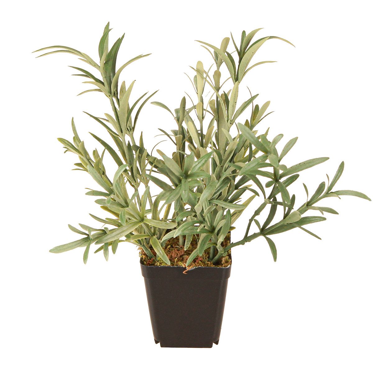 Künstliche Zimmerpflanze Salbei Kunstpflanze Topf Dekoration Salvia Lavandulifolia H25cm