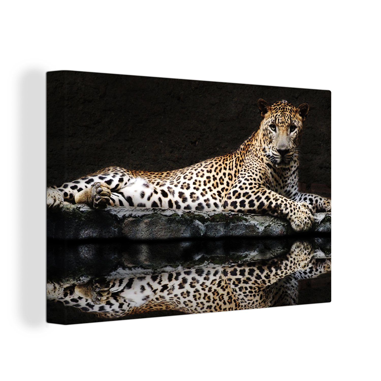 OneMillionCanvasses® Leinwandbild Leopard - Wasser - Wald, Fotodruck (1 St), Leinwand Bilder groß für Wohnzimmer 140x90 cm