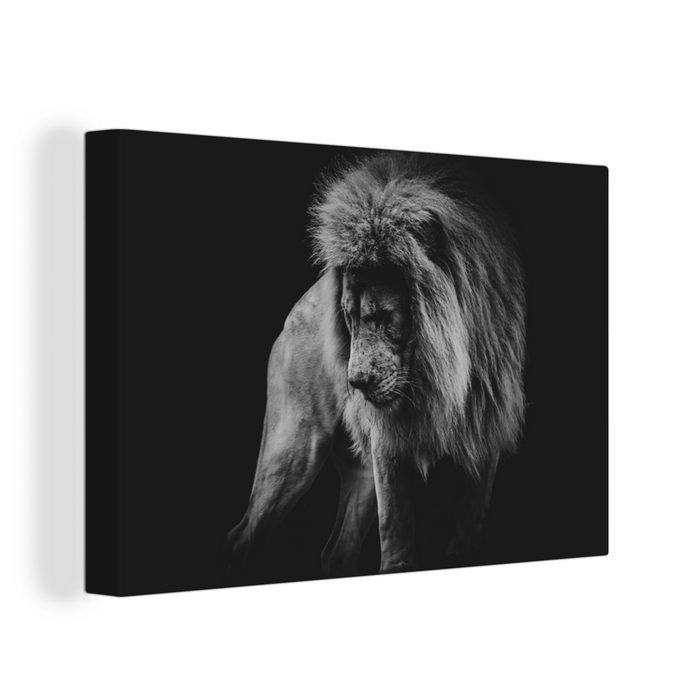 OneMillionCanvasses® Leinwandbild Löwen - Porträt - Schwarz - Weiß (1 St) Wandbild Leinwandbilder Aufhängefertig Wanddeko