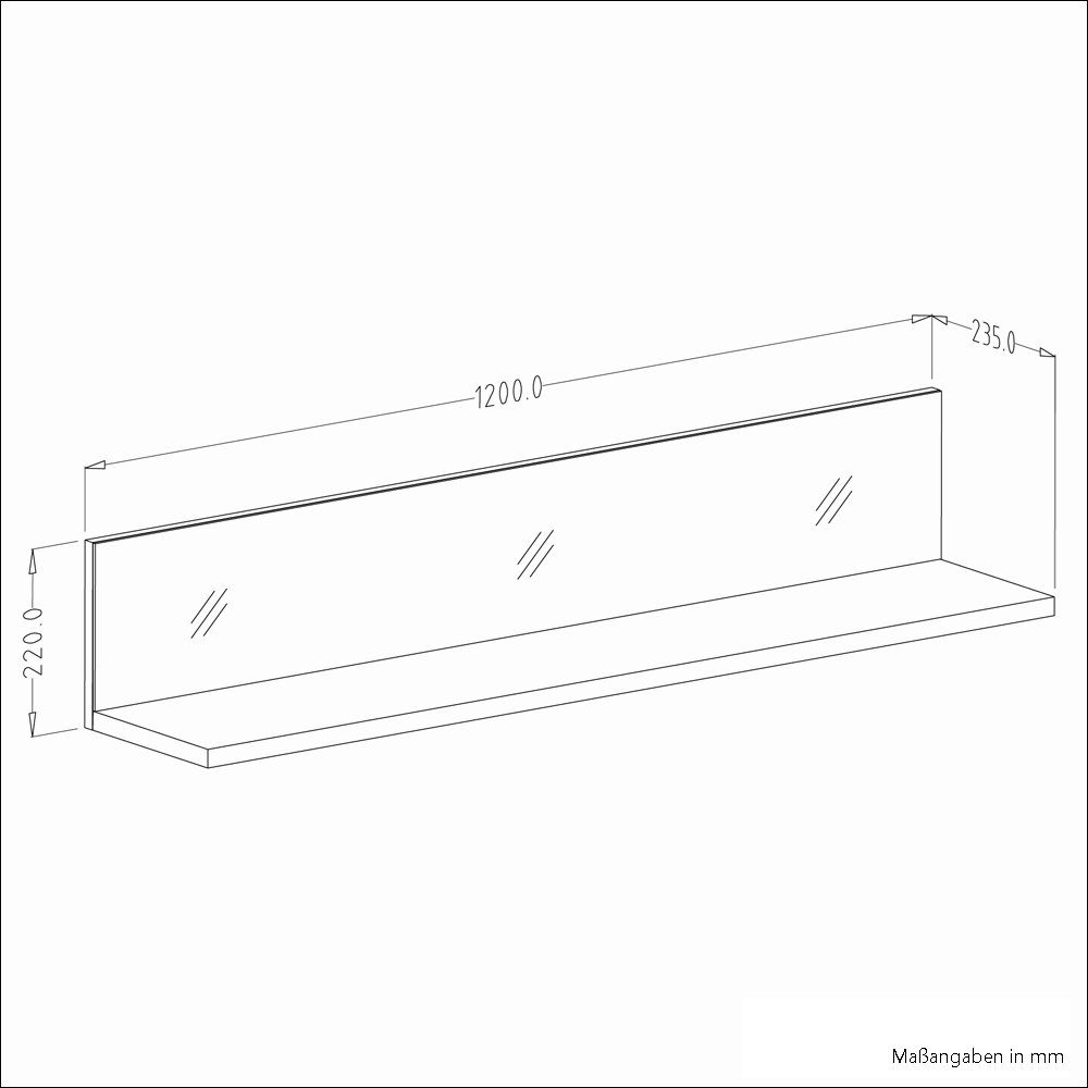 Lomadox Wandregal grau B/H/T: ca. Boden, schwarzem und 120/22/24 Glasfront modern HOOVER-83, cm mit