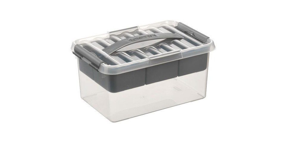 Sunware Aufbewahrungsbox Sunware Multibox Q-Line 6L günstig online kaufen