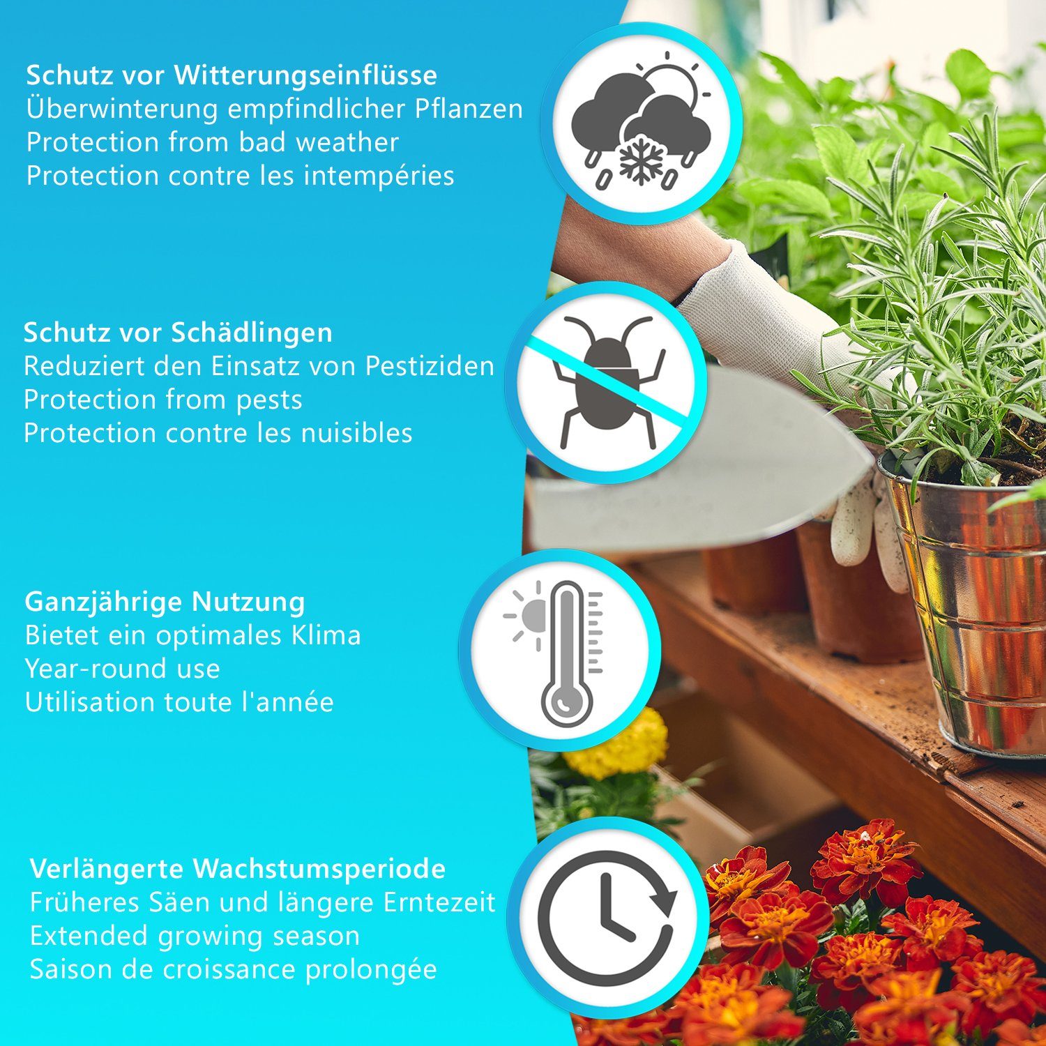 NYVI Foliengewächshaus Foliengewächshaus NYVIGreen - Gewächshaus für Pflanzen, Gemüse, Gewächshaus für Pflanzen, Gemüse, wetterfestes Überwinterungszelt