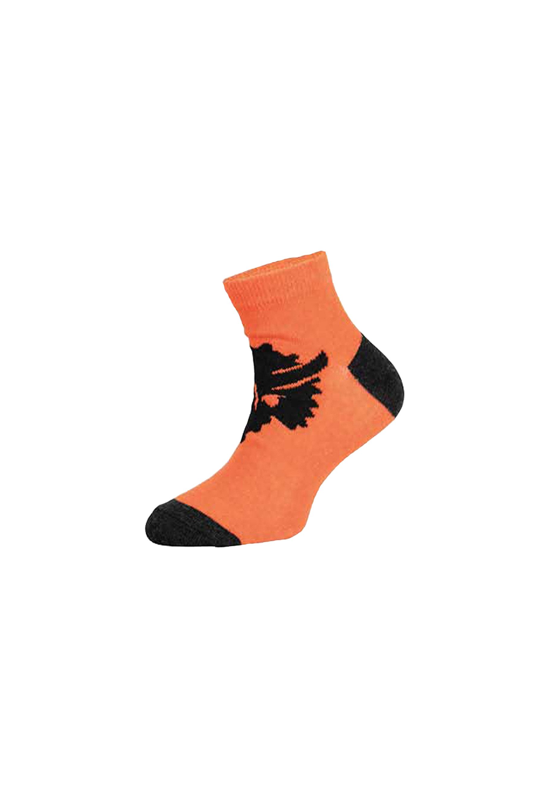 Jurassic World Socken Kinder Jungen Socken 6er Set (6-Paar)