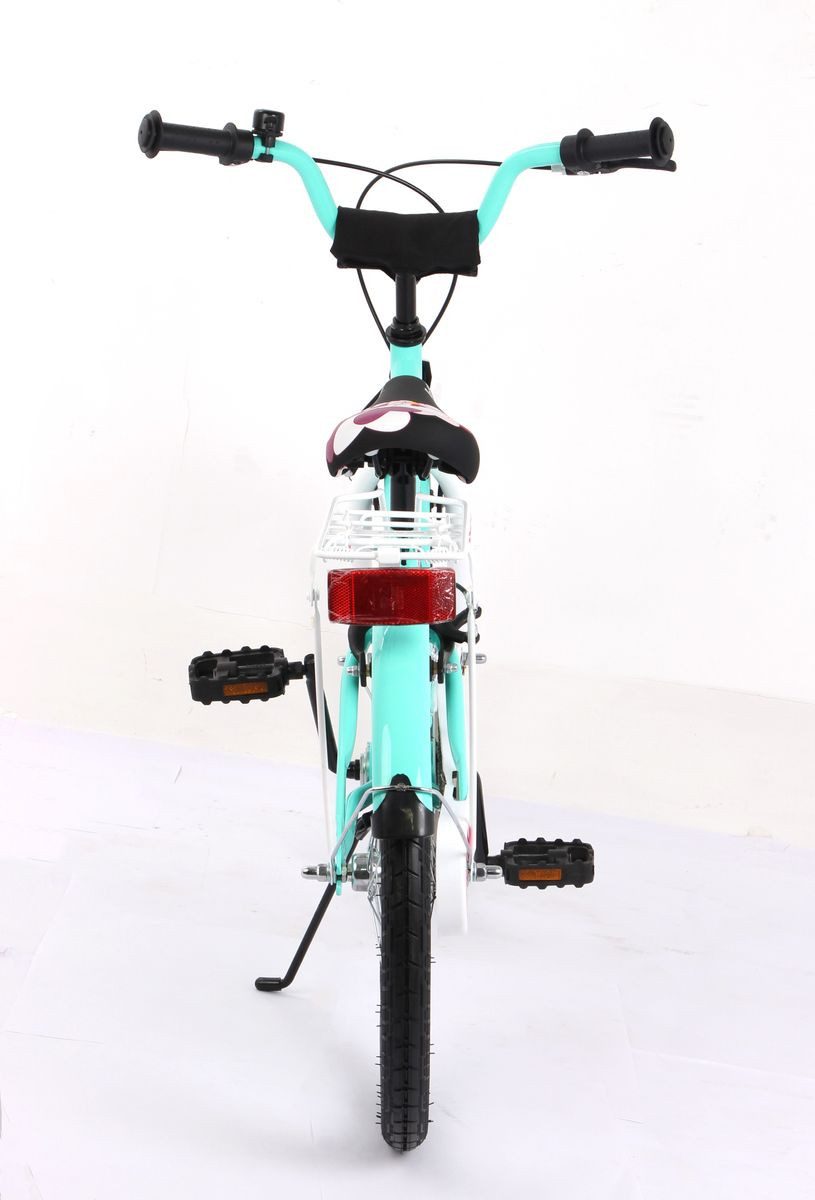T&Y Trade Kinderfahrrad 20 Zoll Kinder Mädchen City Fahrrad Bike Rad Kinderfahrrad PASSIO Grün, 1 Gang, Gepäckträger, Seitenständer, Schutzbleche