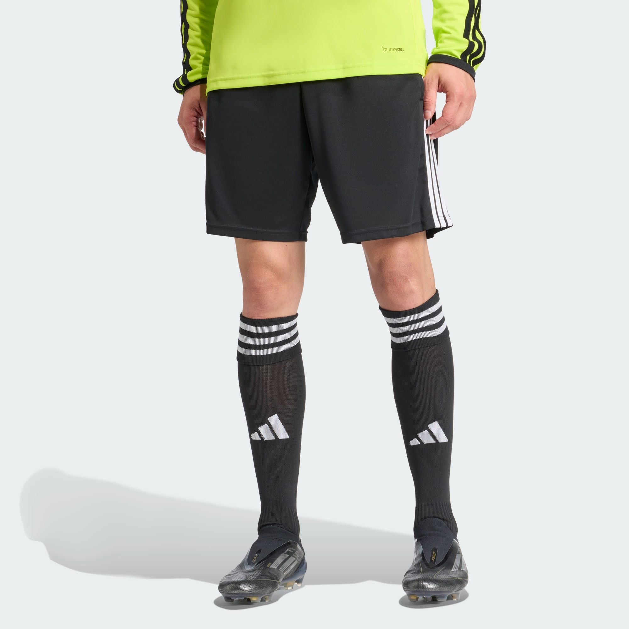 Shorts SCHIEDSRICHTERSHORTS 26