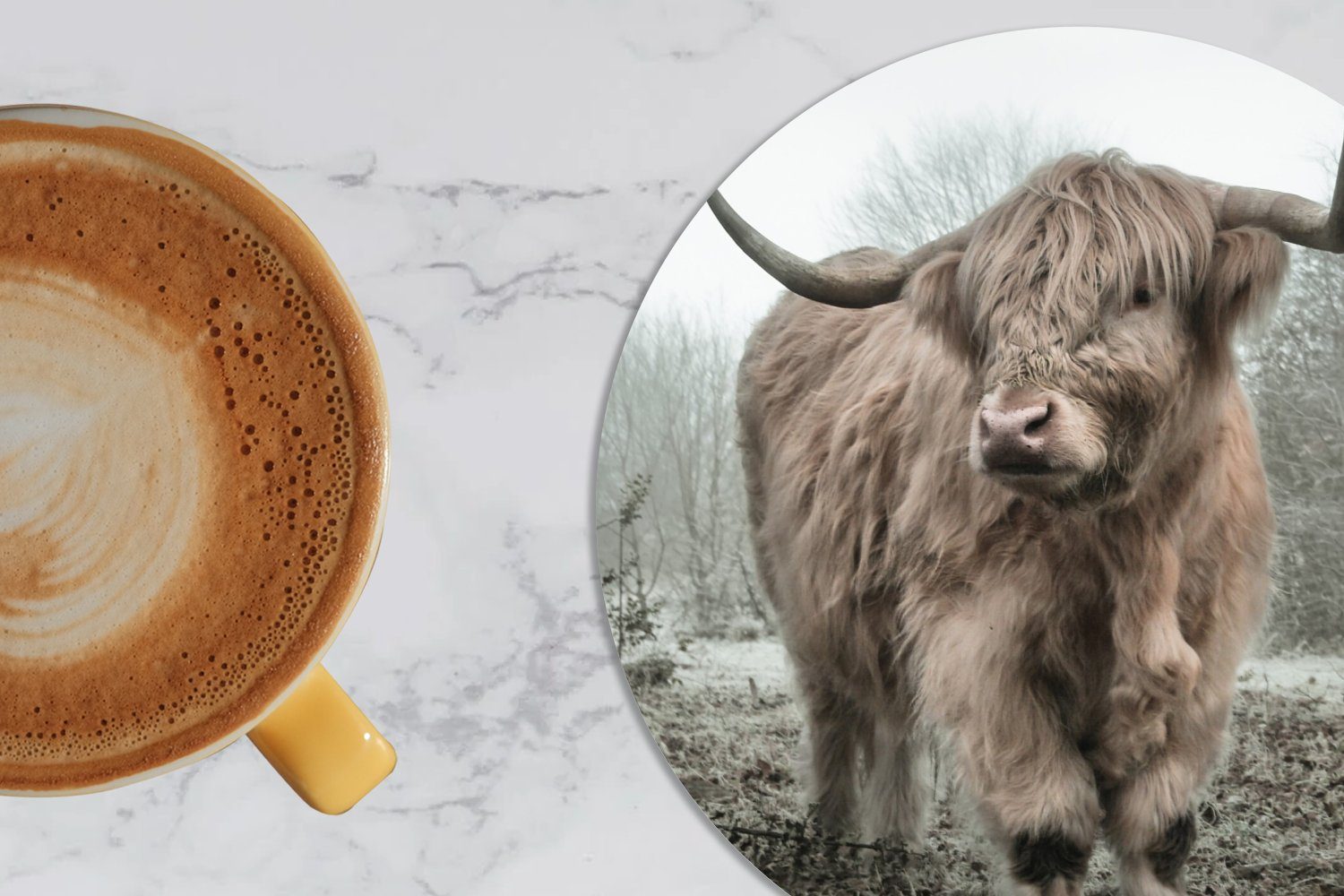 - MuchoWow Tasse, Highlander Herbst 6-tlg., - Getränkeuntersetzer, Korkuntersetzer, Tassenuntersetzer, - für Schottische Zubehör Wildtiere Glasuntersetzer Wald, Natur - Becher - Gläser, Tiere