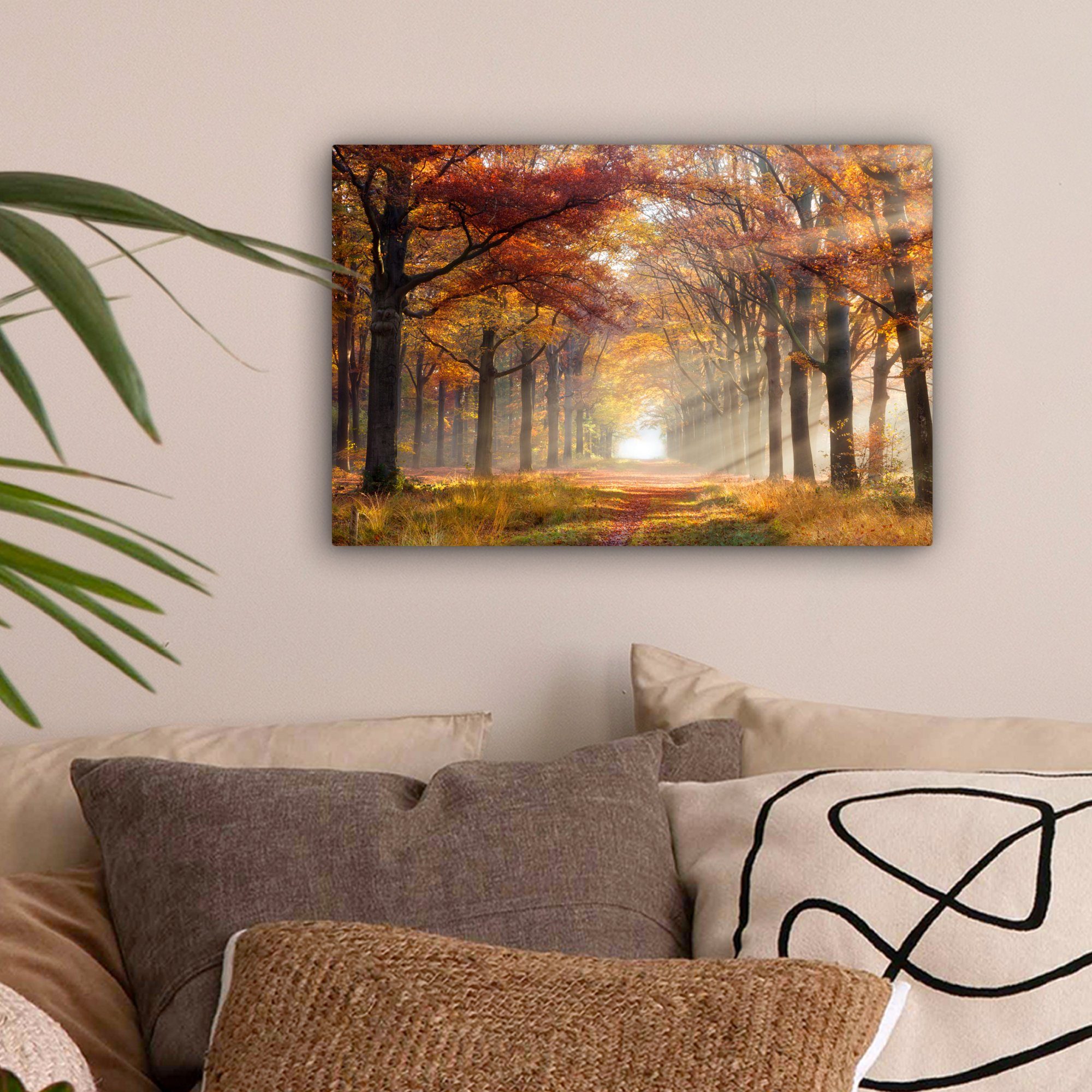 OneMillionCanvasses® Leinwandbild Herbst - Wald - günstig online kaufen