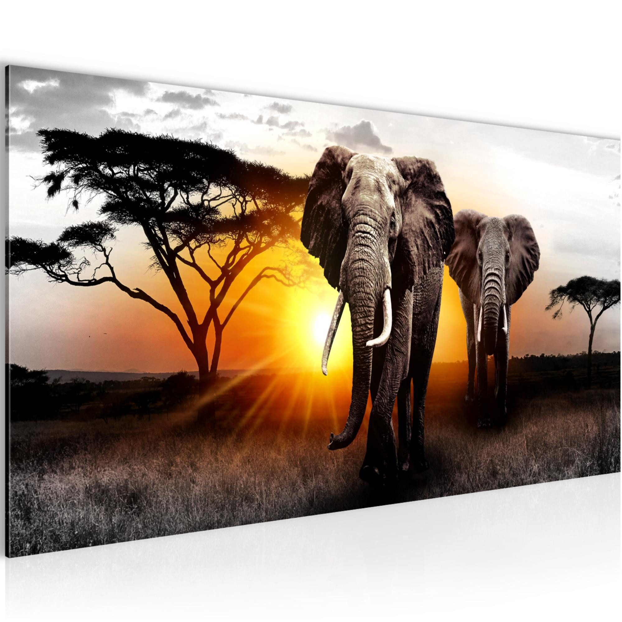 Runa Art XXL-Wandbild Elefant Bild Afrika Sonnenuntergang Savanne Wandbild, Elefant