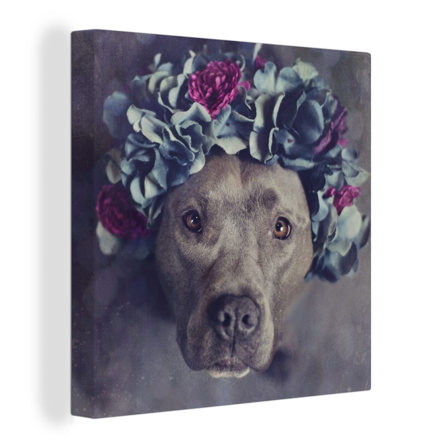 OneMillionCanvasses® Leinwandbild Ein American Staffordshire Terrier mit einem Blumenkranz, (1 St), Leinwand Bilder für Wohnzimmer Schlafzimmer