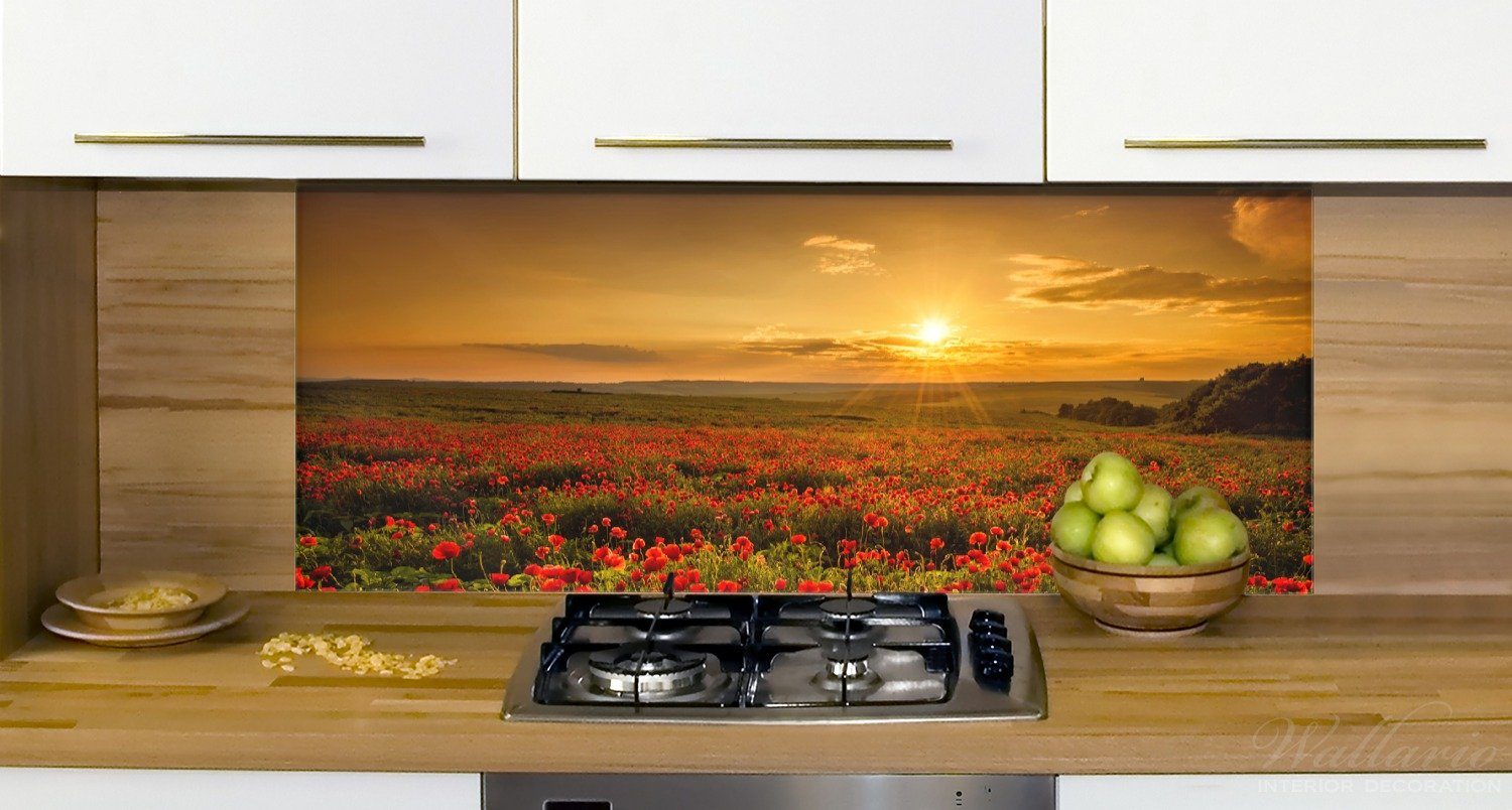 Mohnblumenwiese Sonnenuntergang Küchenrückwand am (1-tlg) Abend, Wallario bei