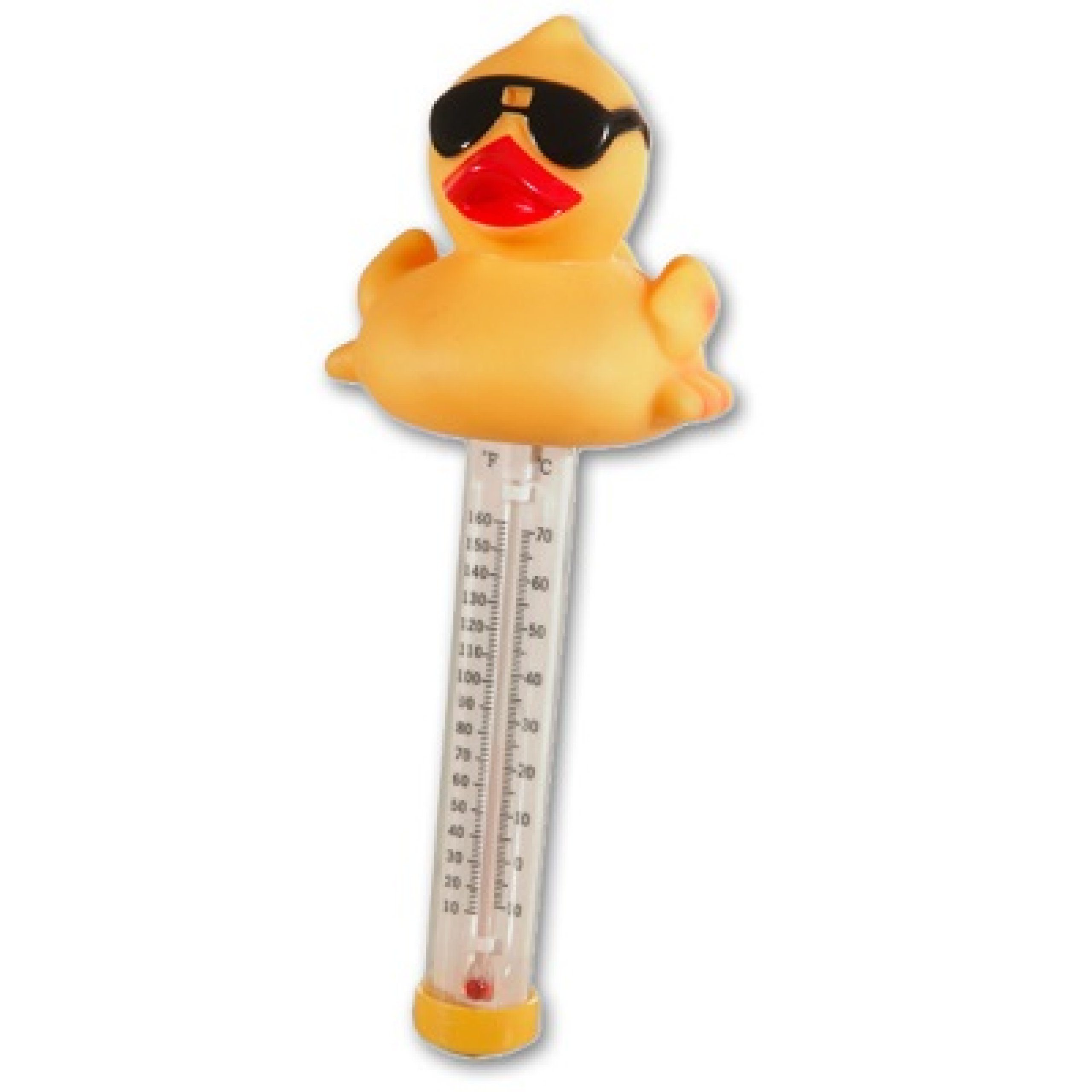 AquaChek Pooltester Pool & Spa Thermometer Thermo-Duck Ente