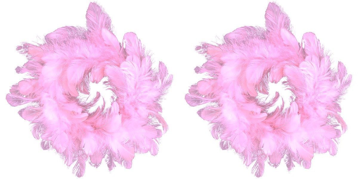 Exner GmbH Garten- & Wohnaccessoires Dekokranz Federkranz Rosa Klein 2er Set Deko Ostern Frühling 20 cm, beidseitig mit Federn besetzt