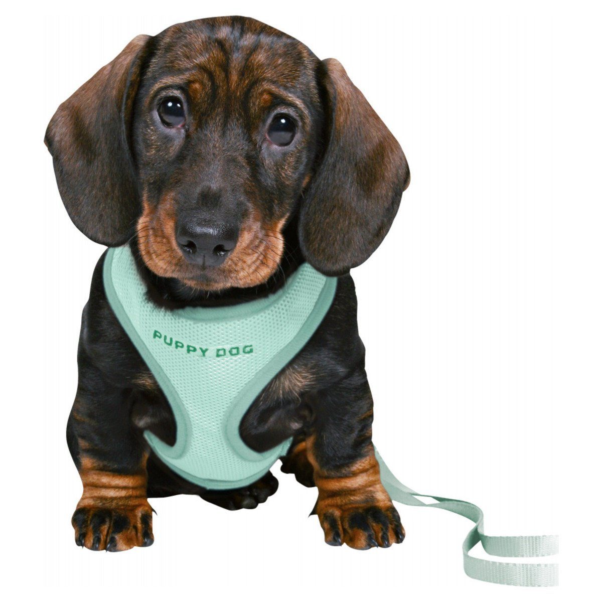 TRIXIE Hunde-Geschirr Junior Welpen-Softgeschirr mit Leine günstig online kaufen