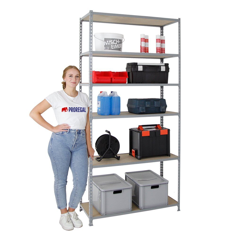 PROREGAL® Schwerlastregal GIANT MULI 250x80x30cm 6 günstig online kaufen